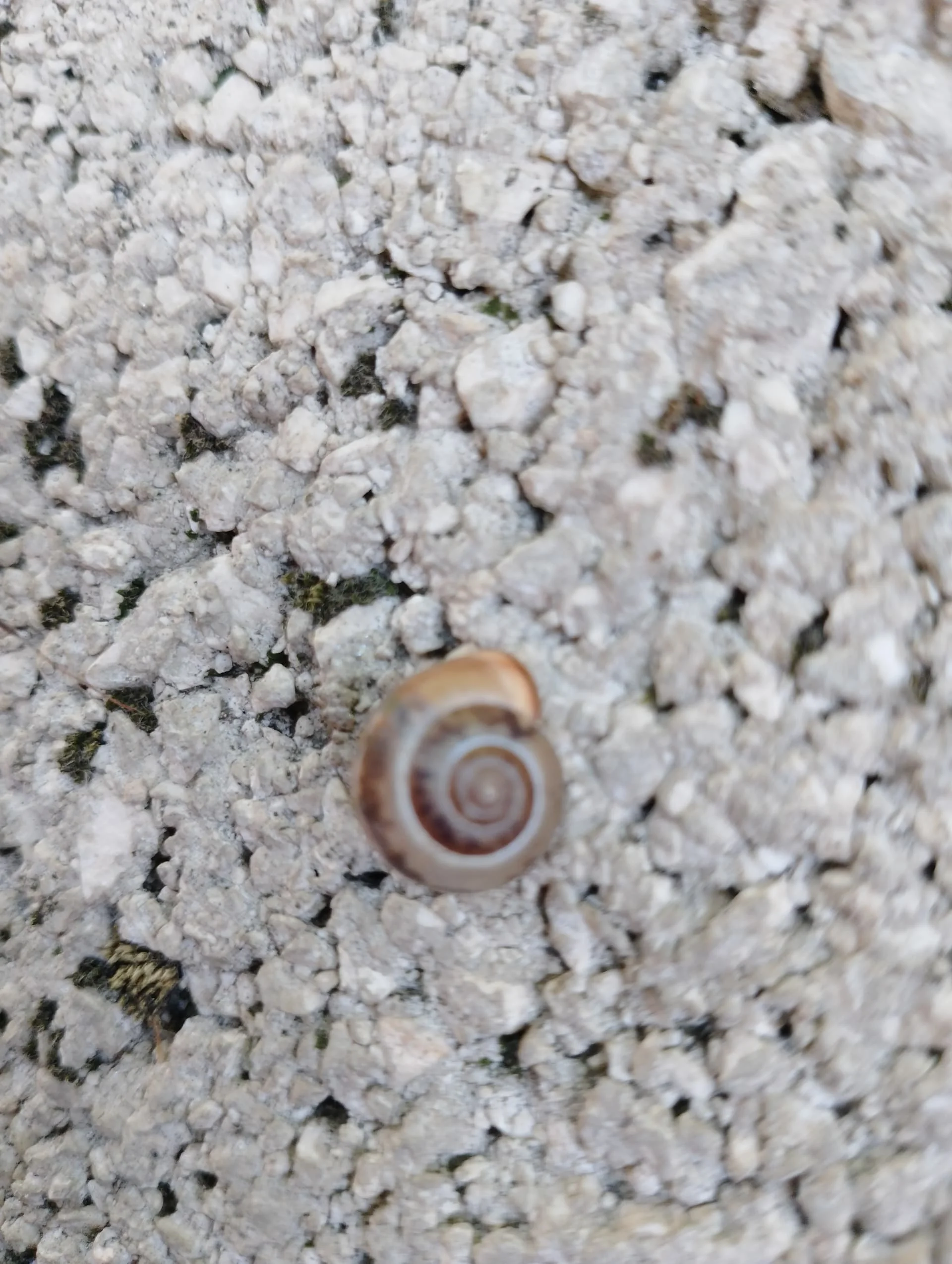 IMG_20240602_115640_HDR