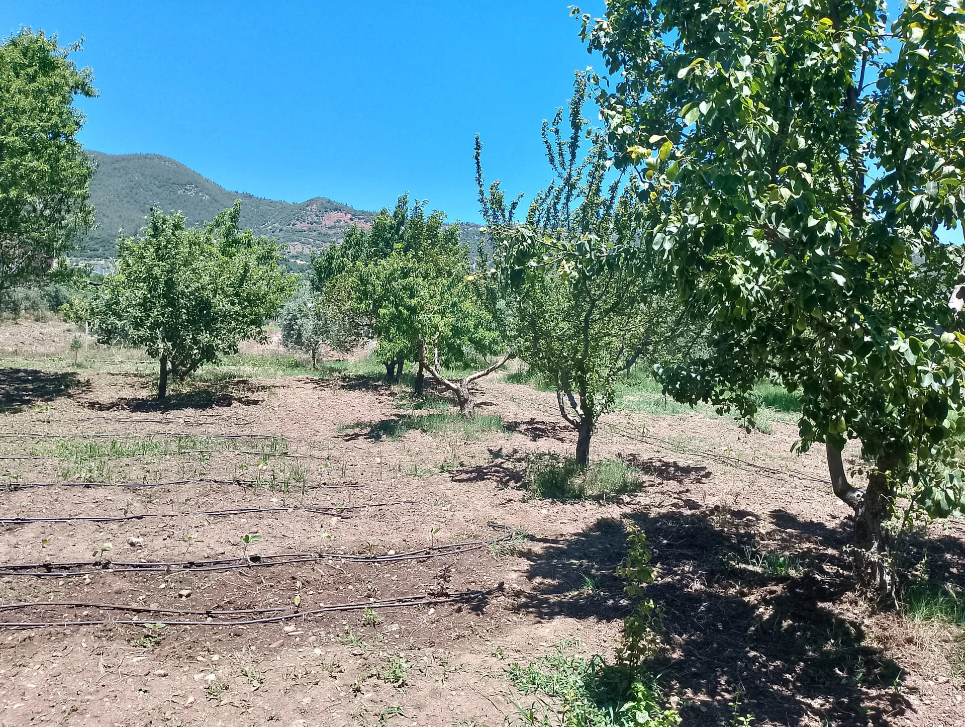 IMG_20240602_121651_HDR