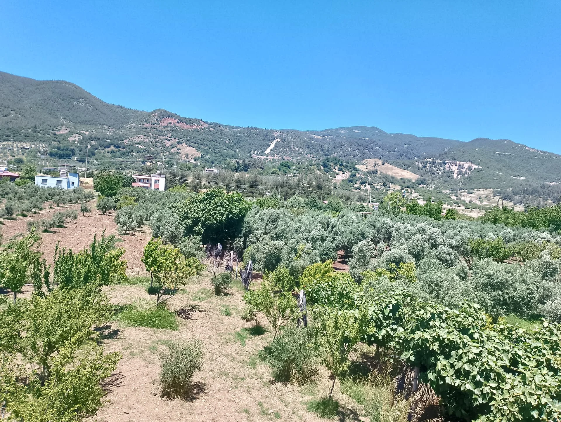 IMG_20240602_130340_HDR