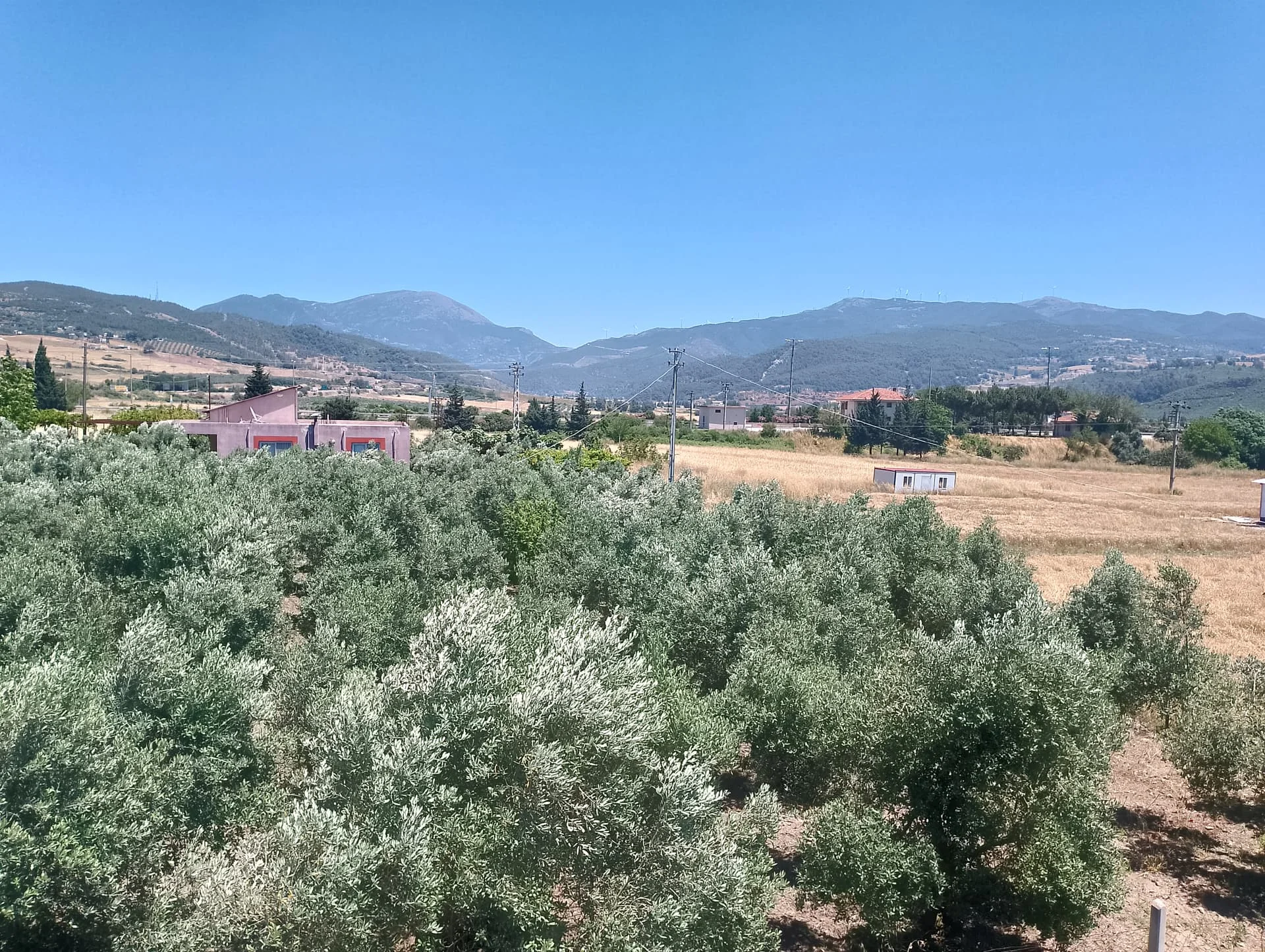 IMG_20240602_130352_HDR