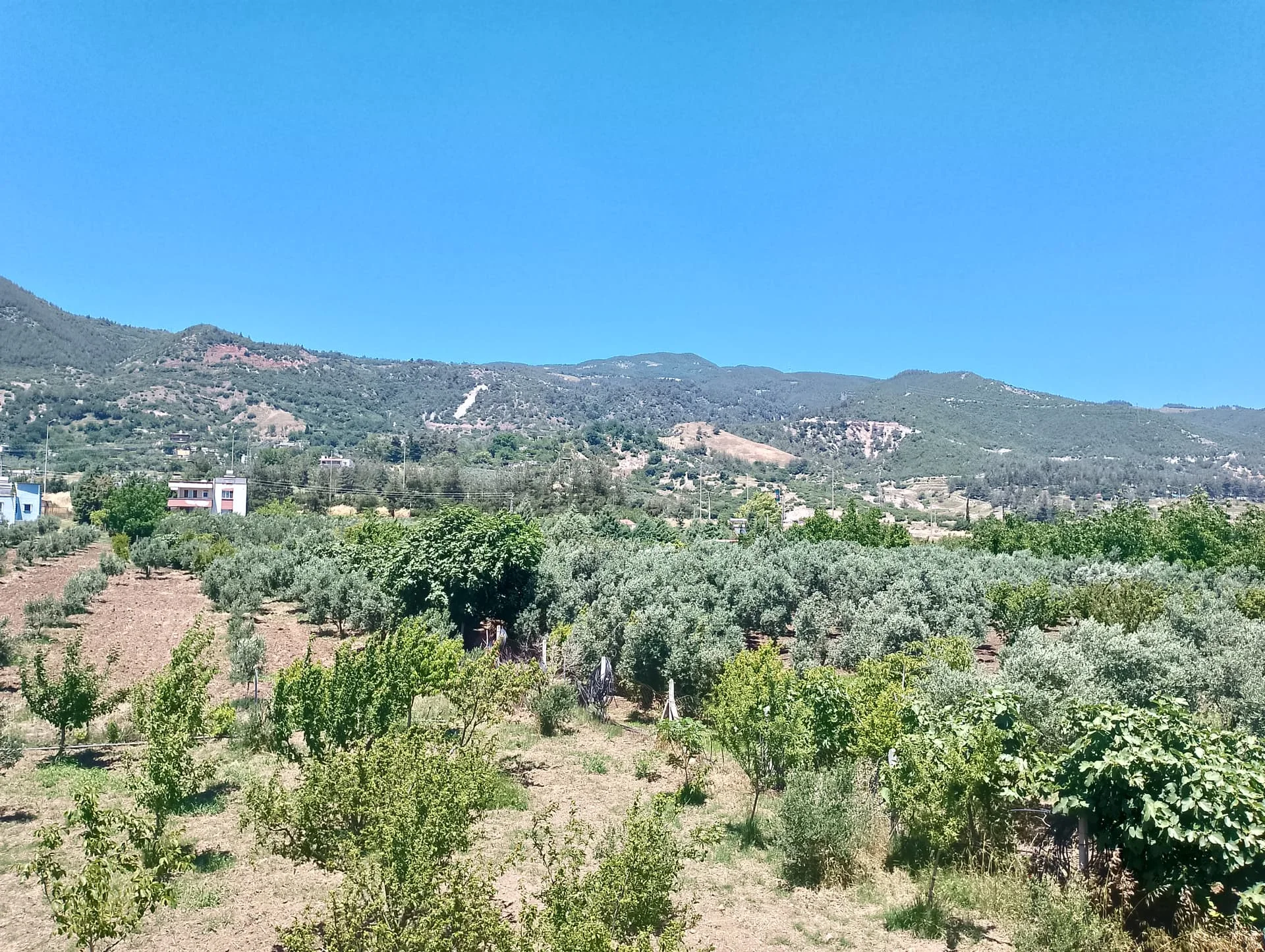 IMG_20240602_130456_HDR