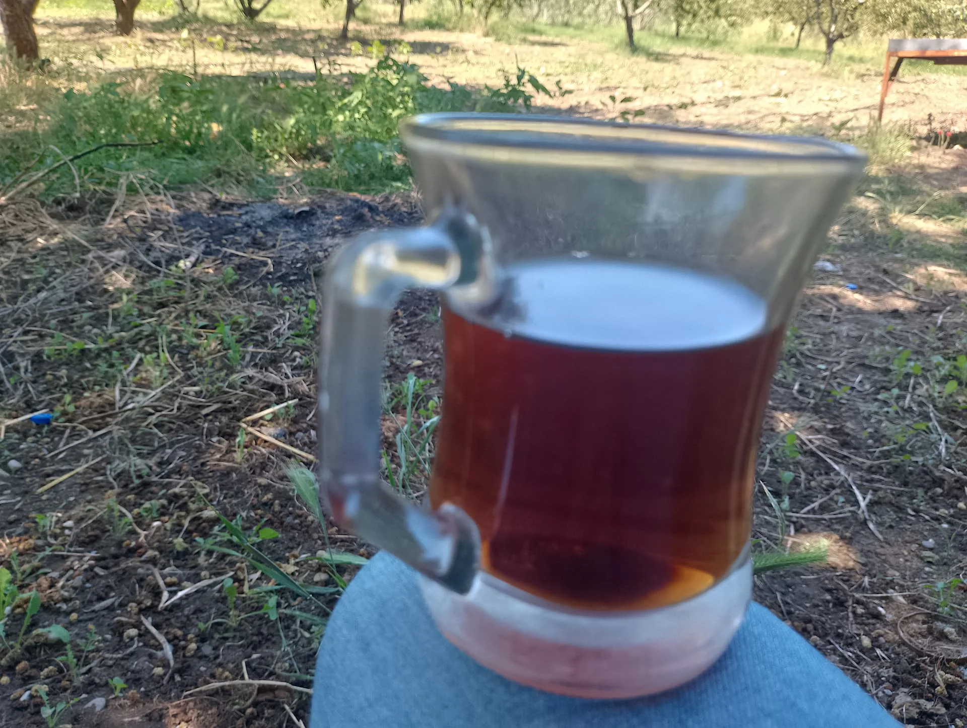 IMG_20240602_145408_HDR