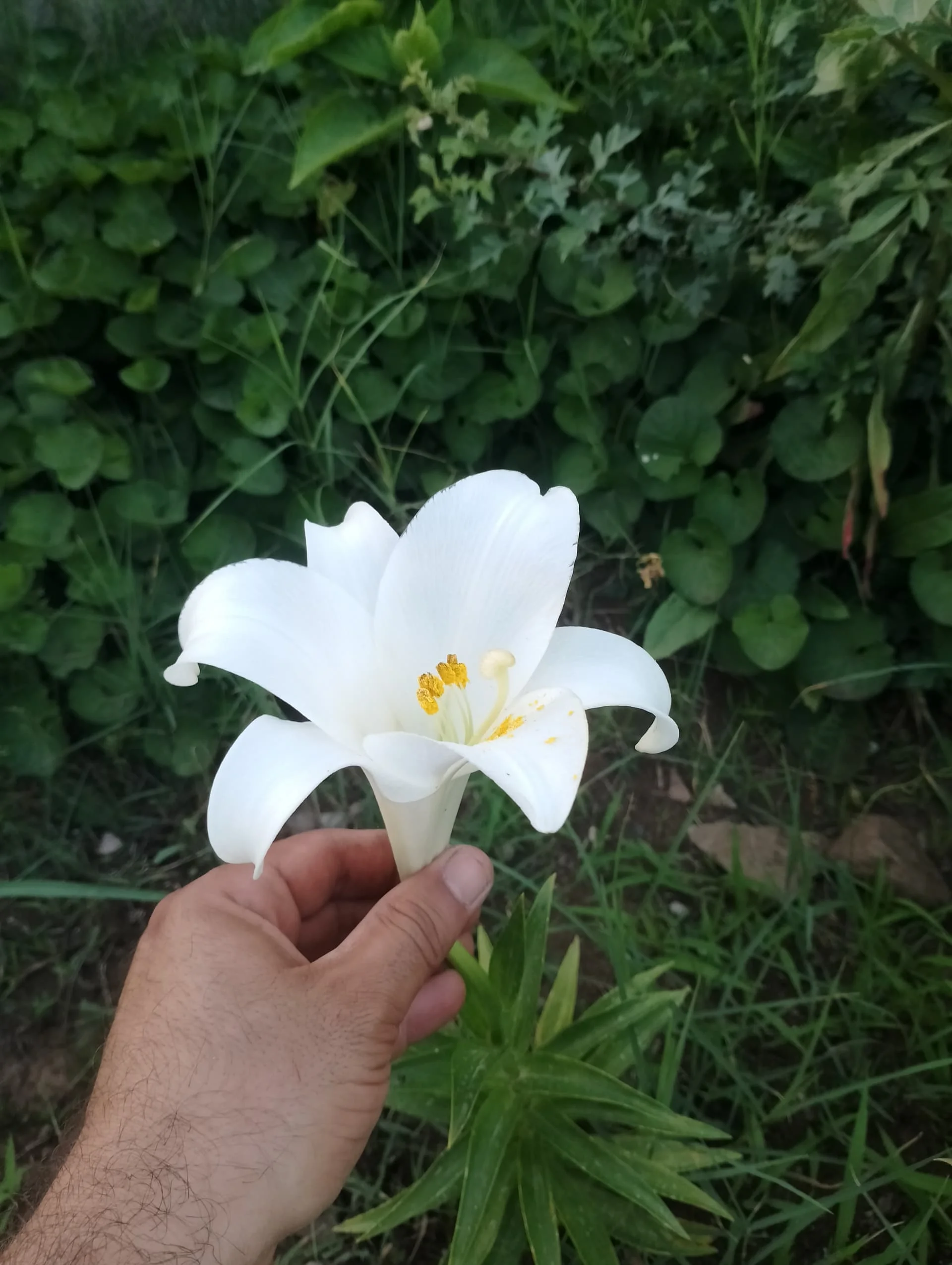 IMG_20240602_192307_HDR