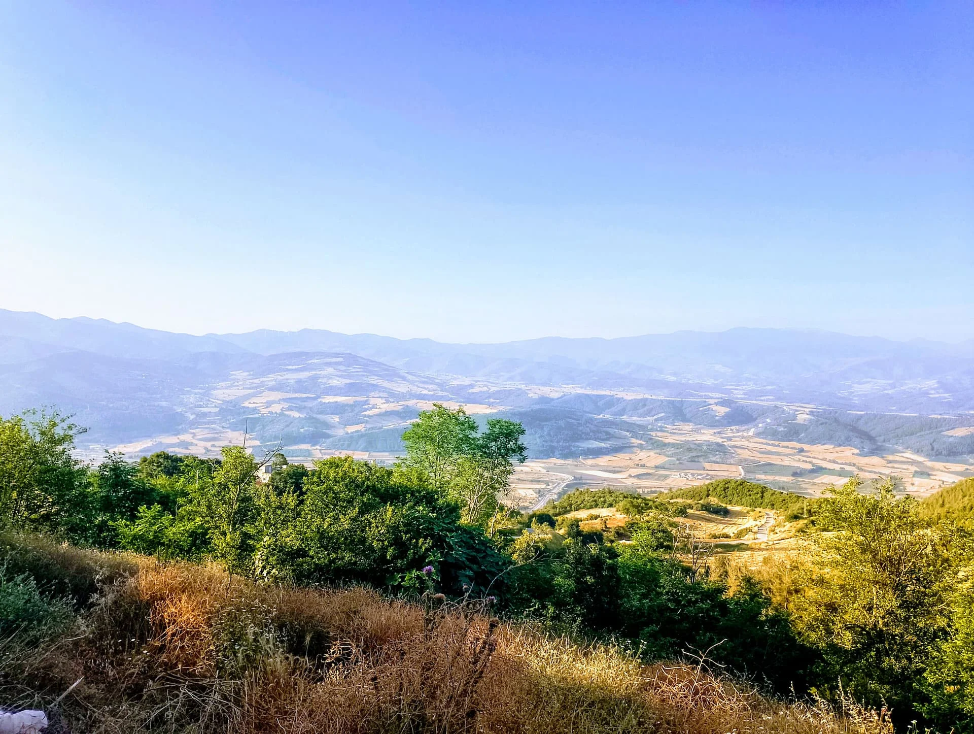 IMG_20240616_063401_HDR~2