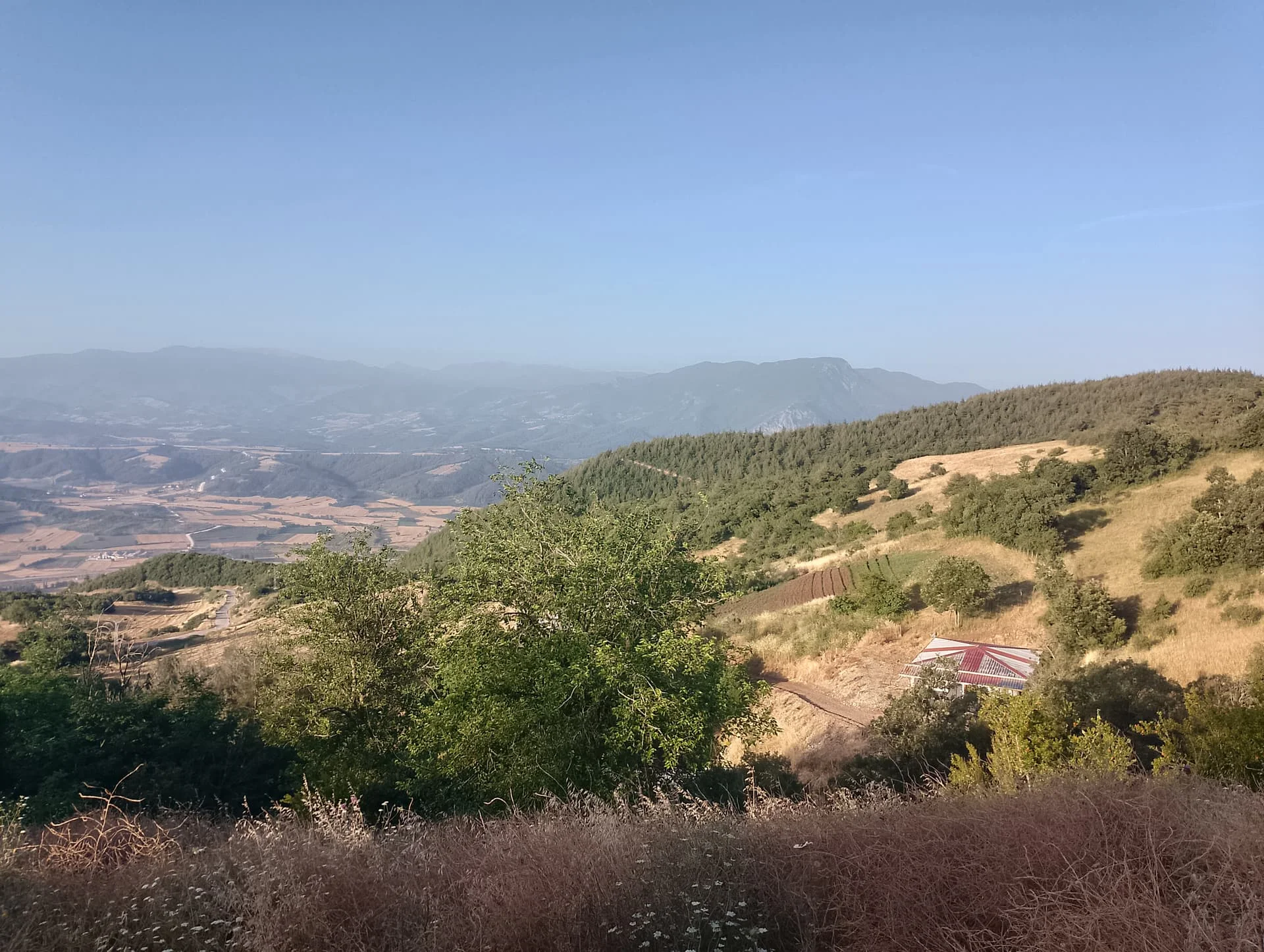 IMG_20240616_063404_HDR