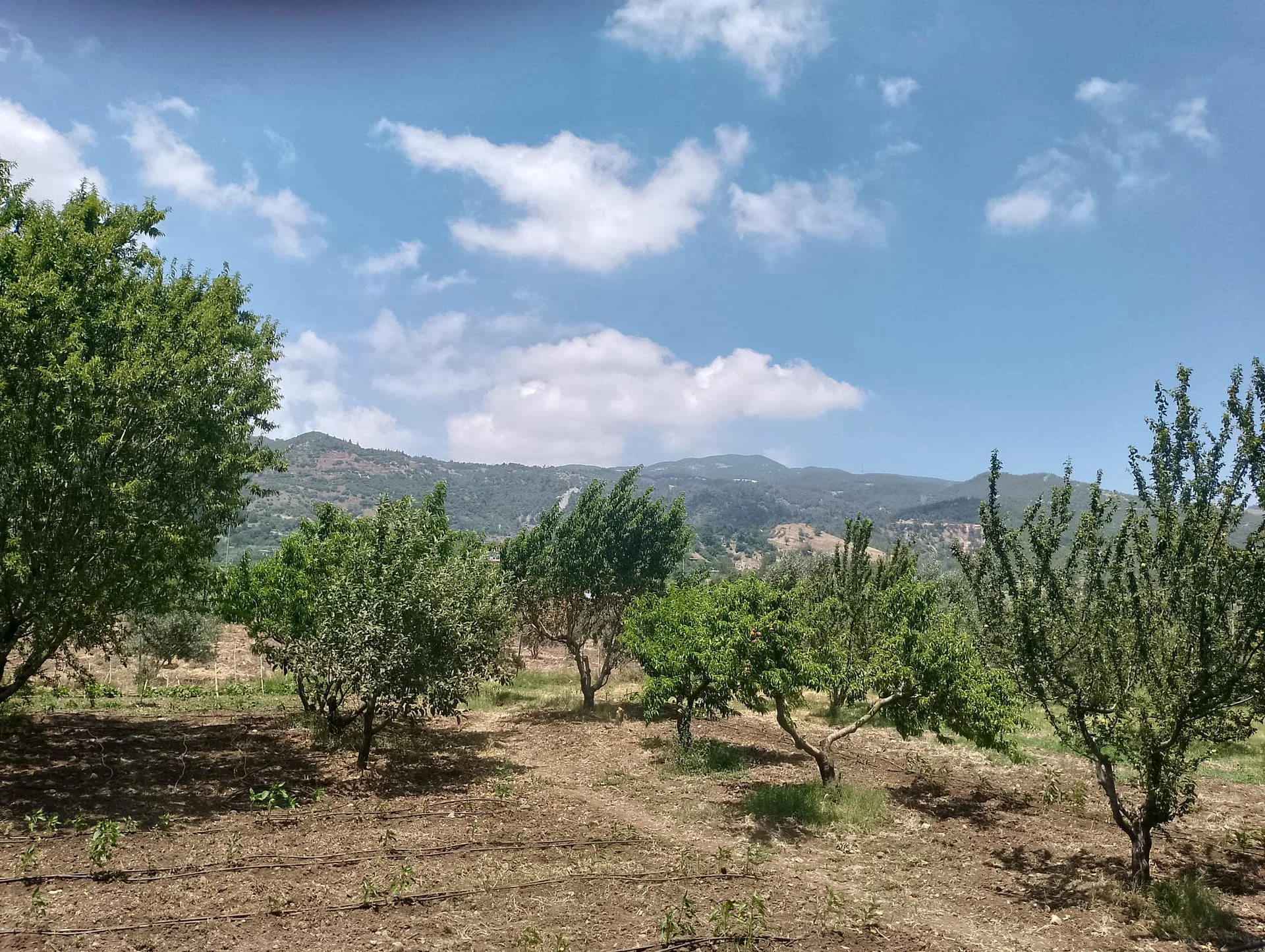 IMG_20240616_131959_HDR