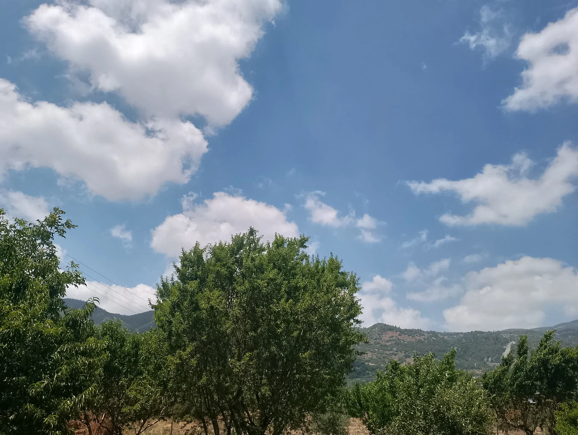 IMG_20240616_132013_HDR