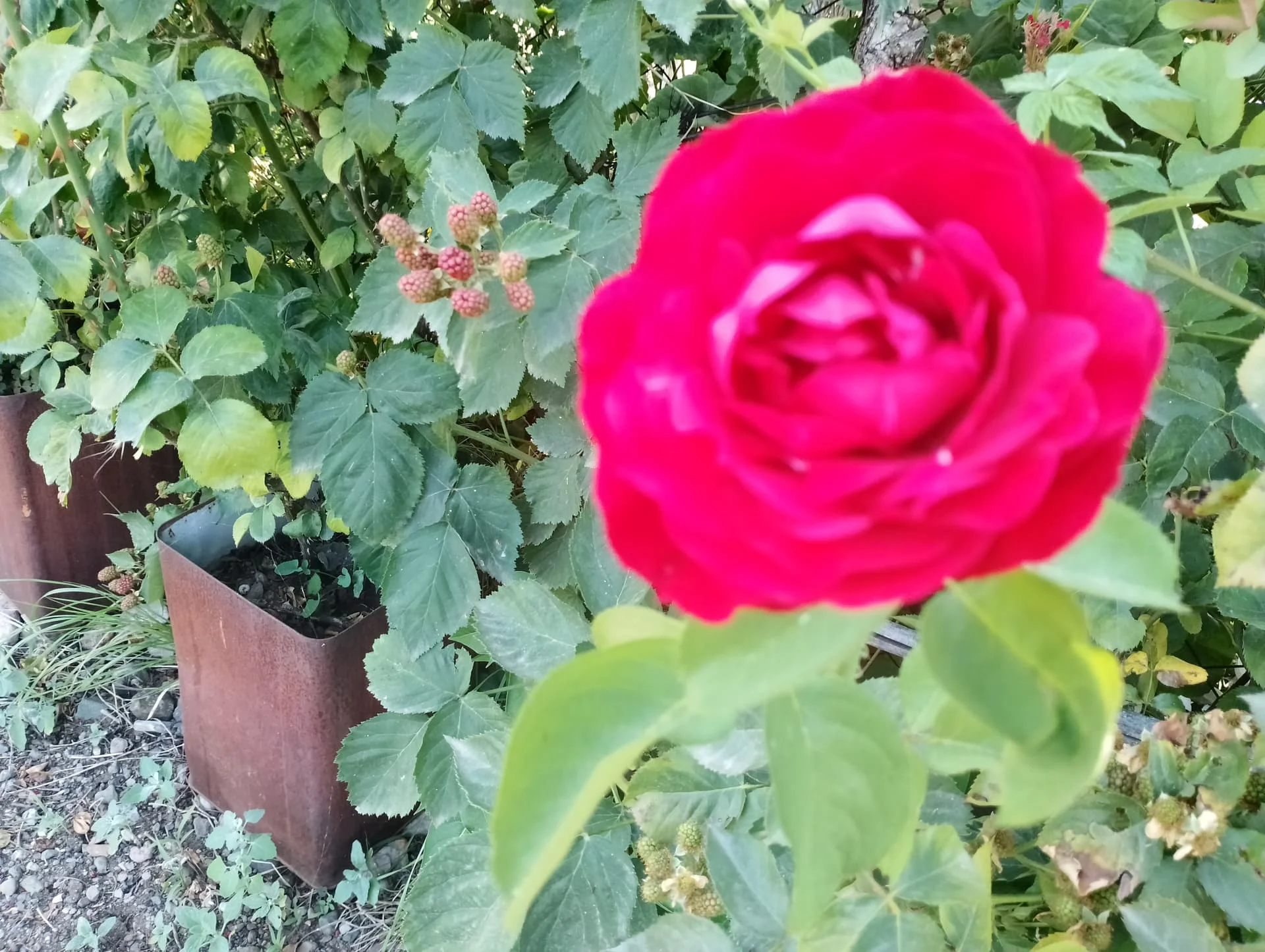 IMG_20240616_160039_HDR