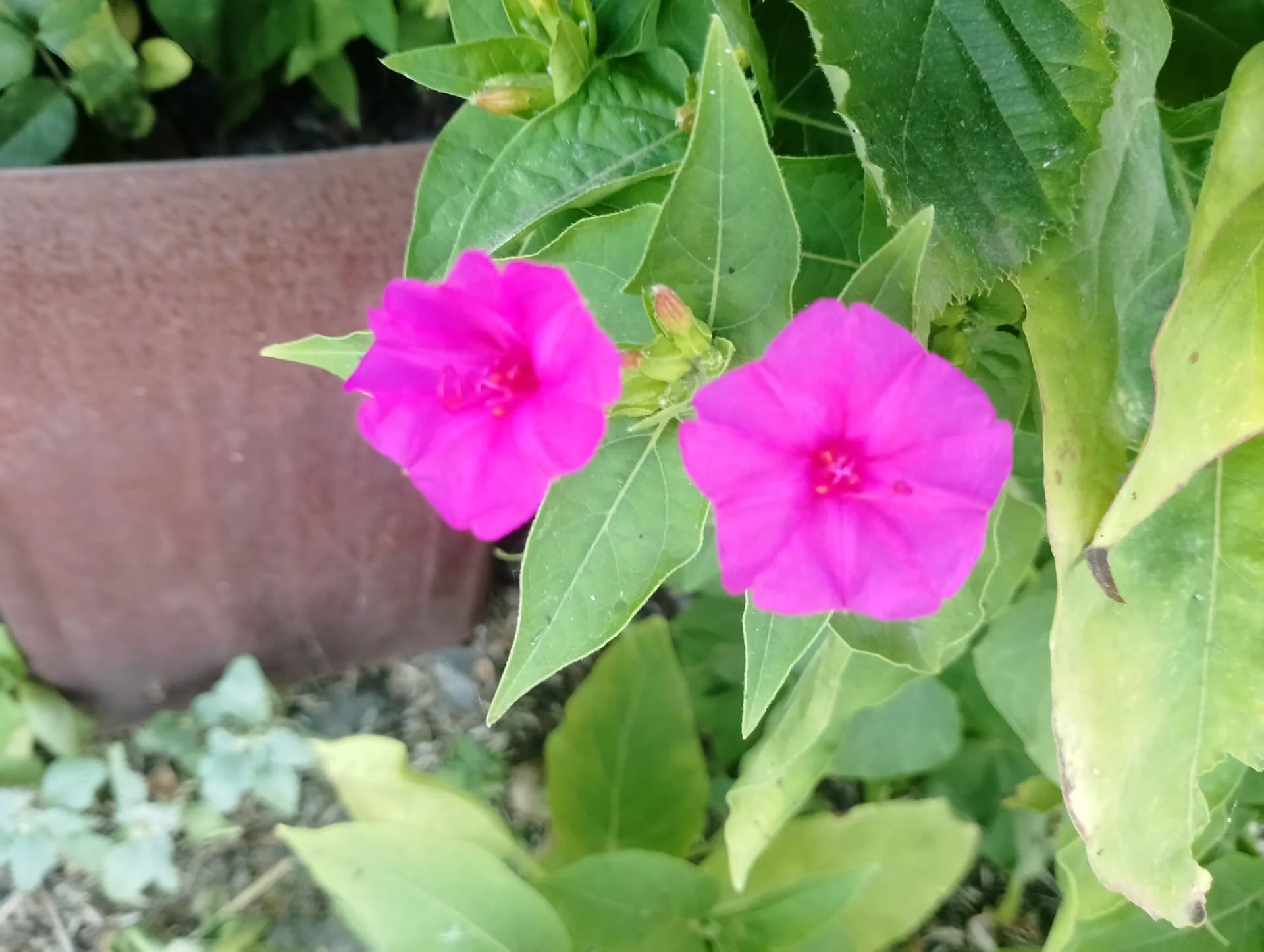 IMG_20240616_160058_HDR