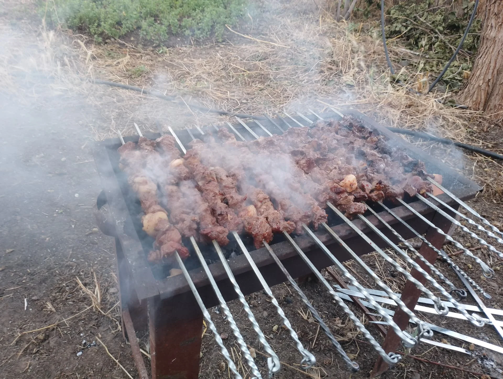 IMG_20240616_190051_HDR