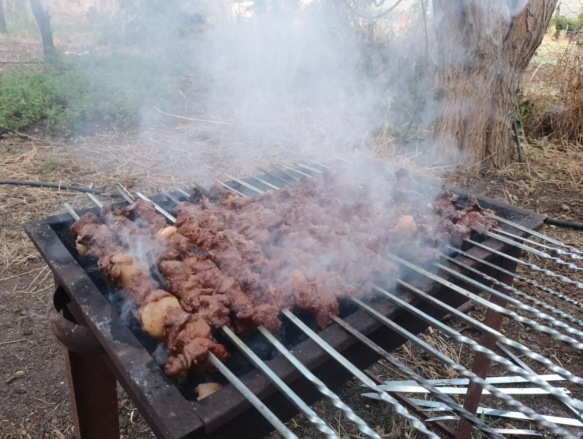 IMG_20240616_190058_HDR