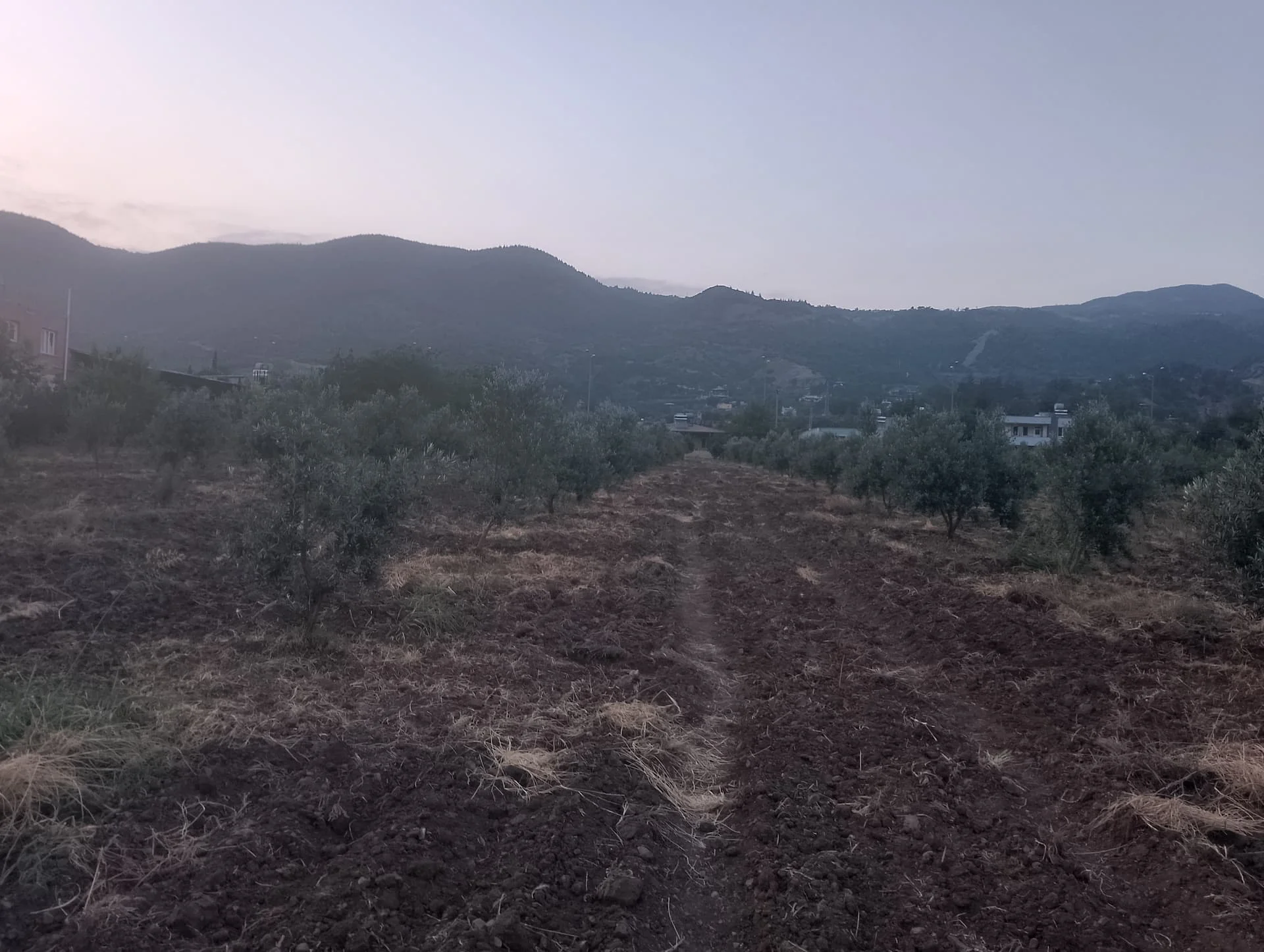 IMG_20240616_194432_HDR