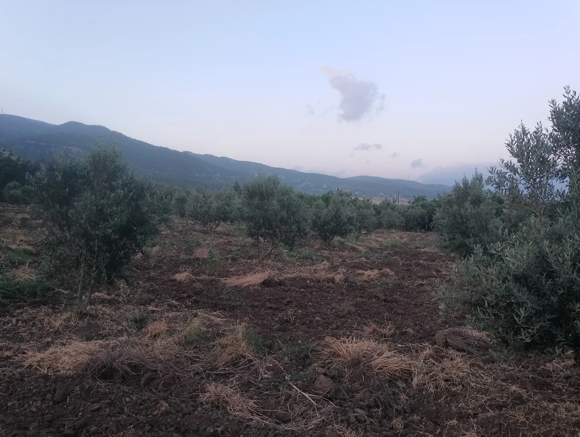 IMG_20240616_194447_HDR