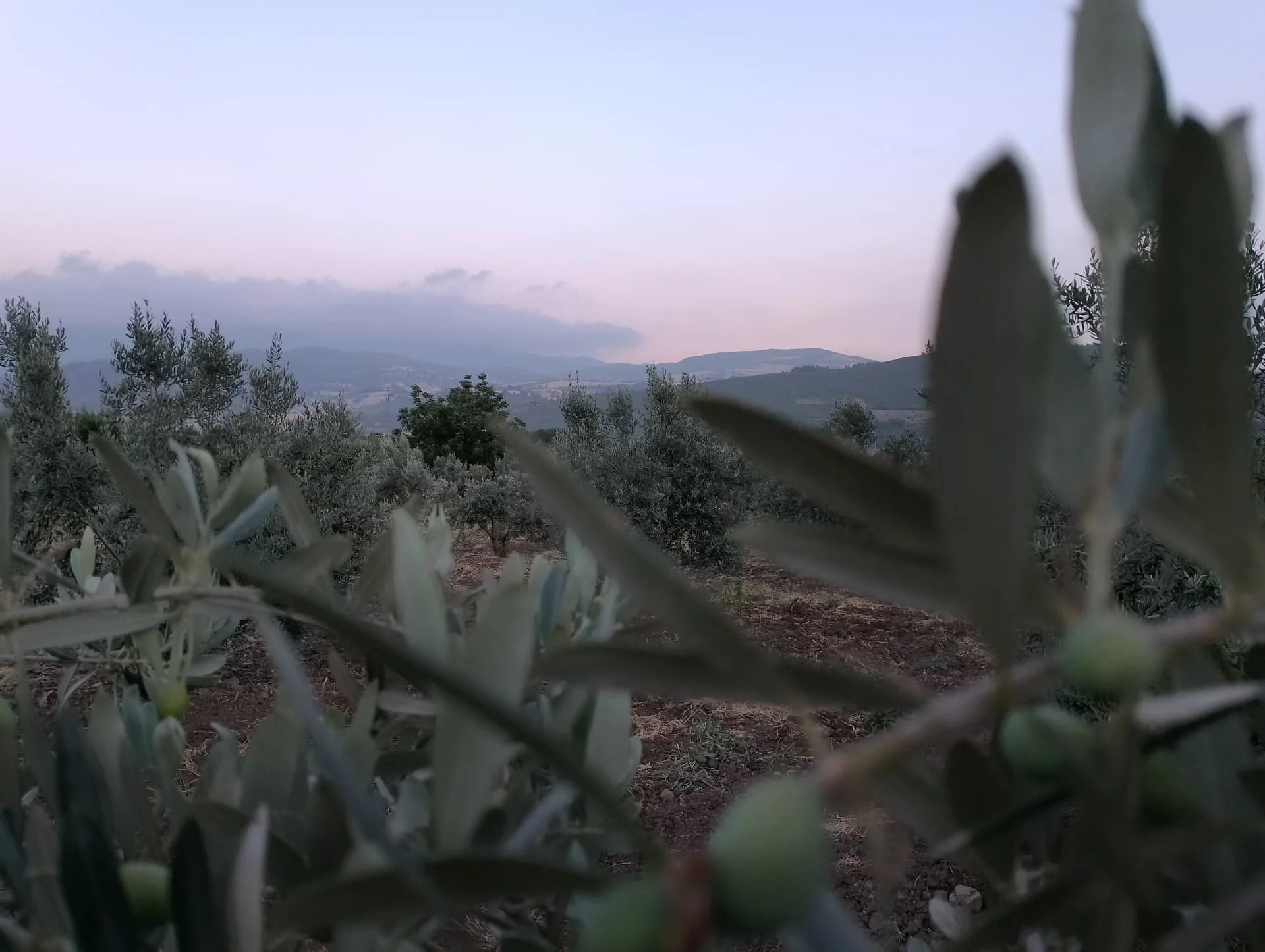 IMG_20240616_194943_HDR