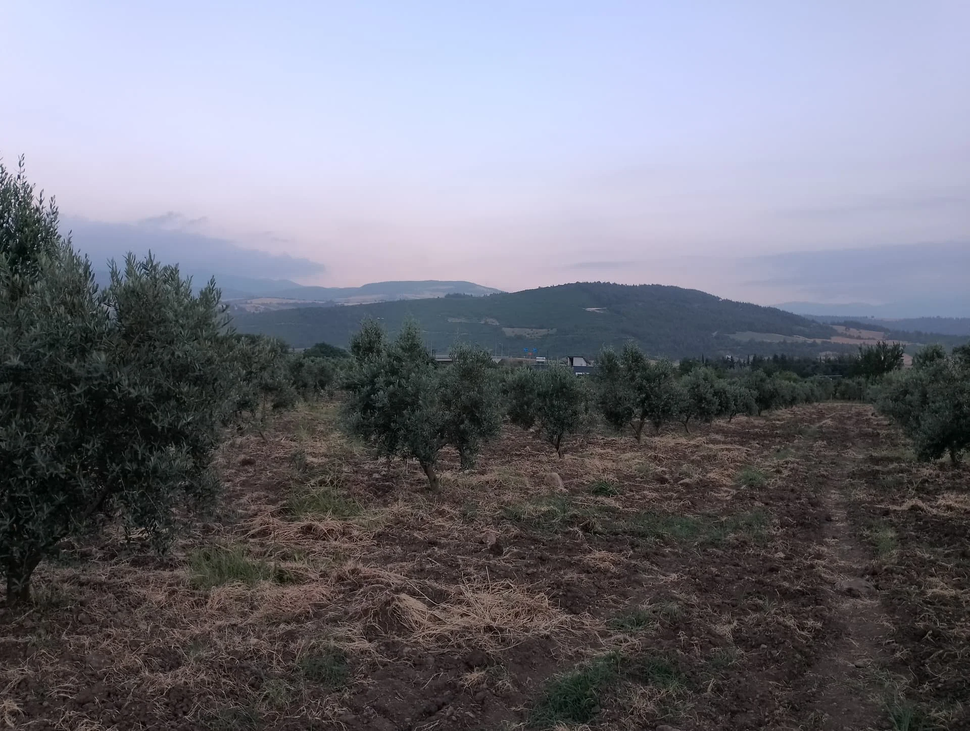 IMG_20240616_195043_HDR