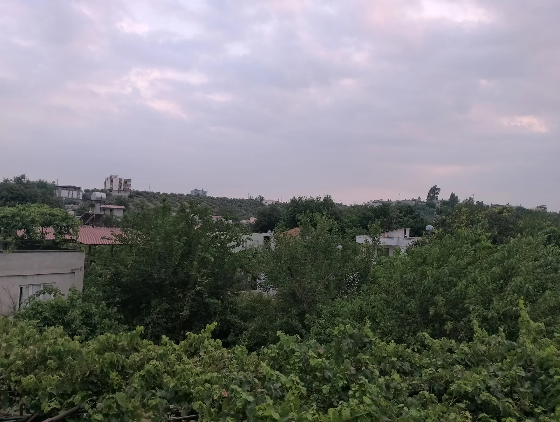 IMG_20240623_193651_HDR