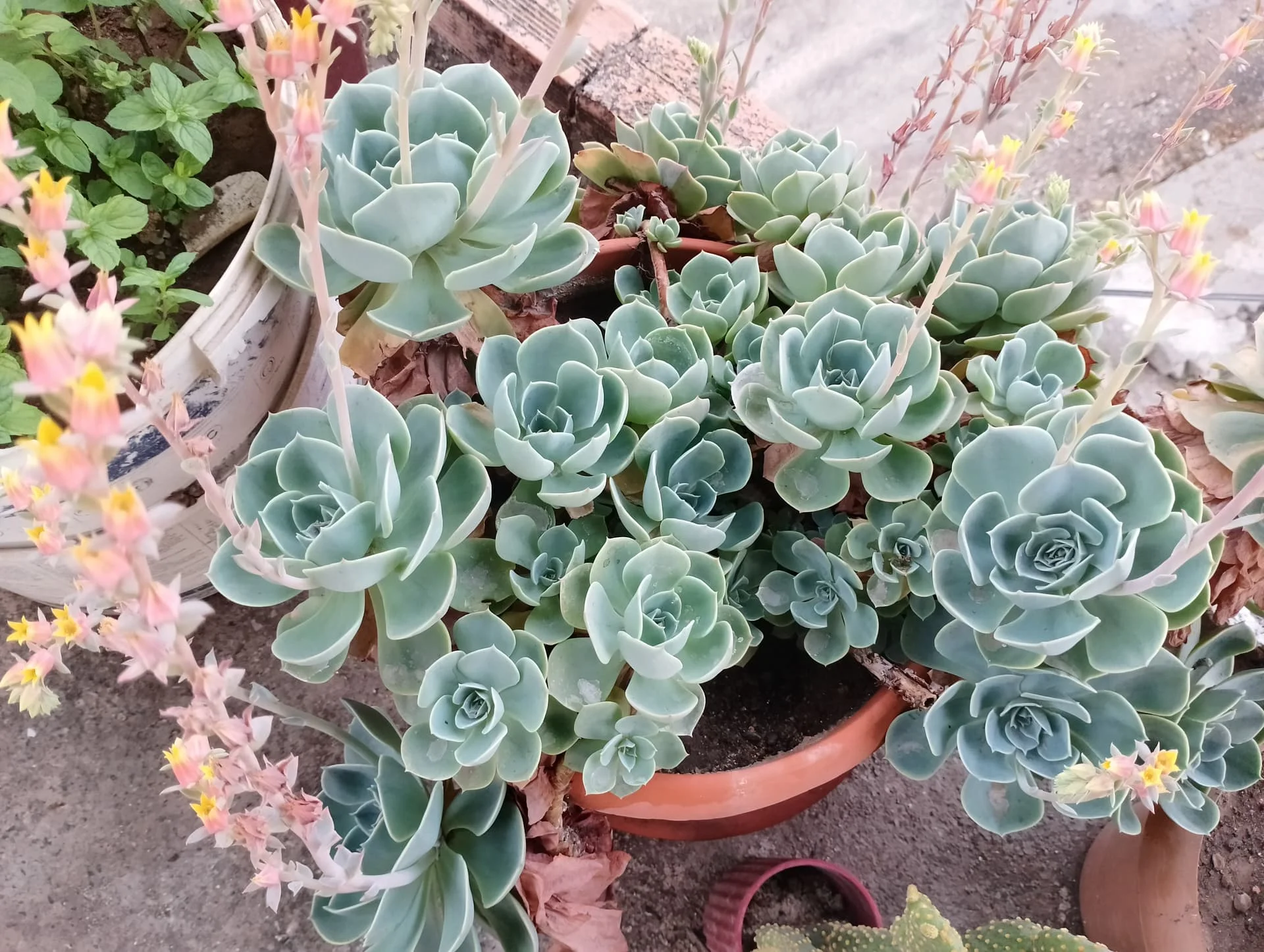 IMG_20240625_183534_HDR