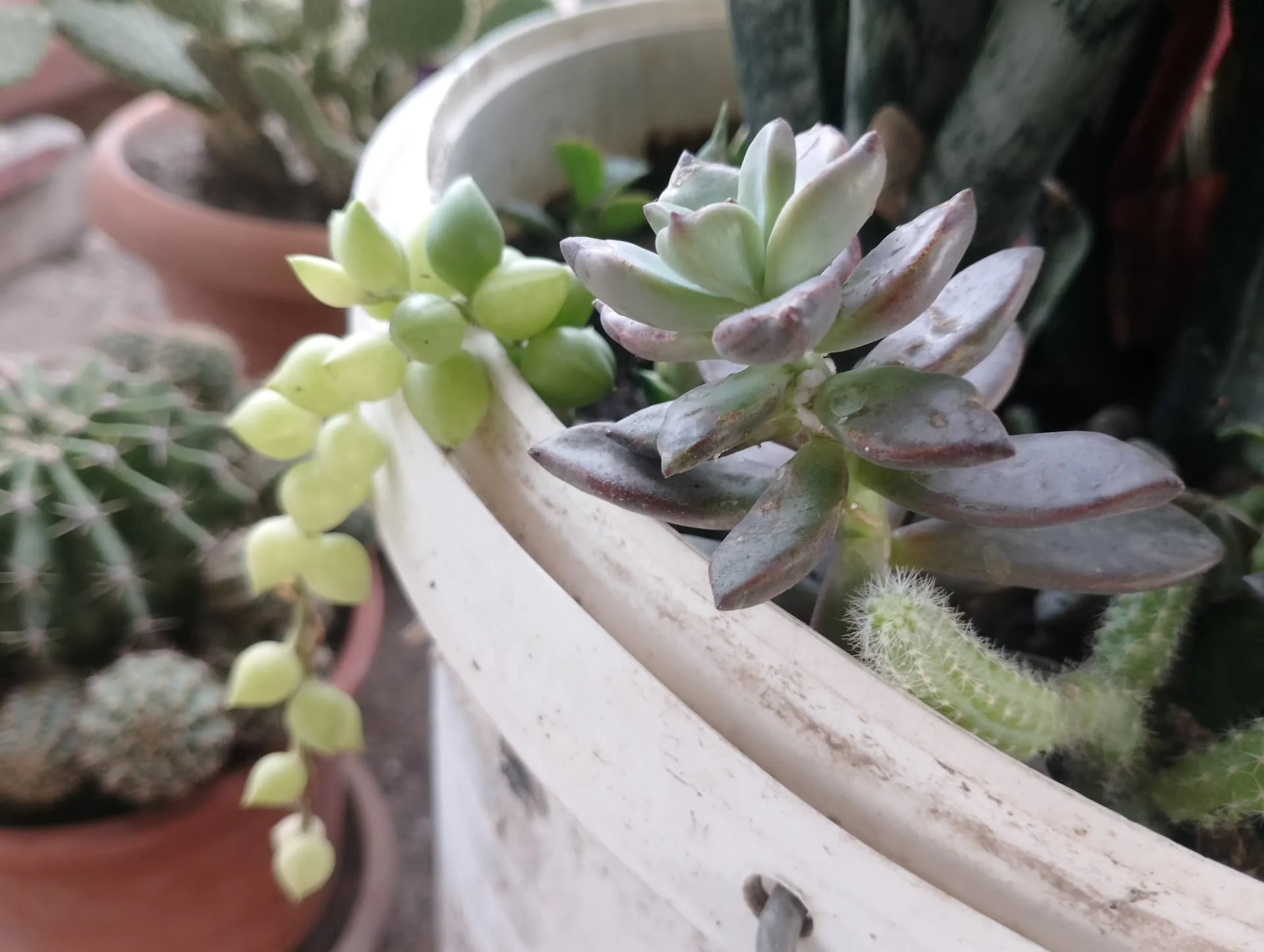 IMG_20240625_183647_HDR