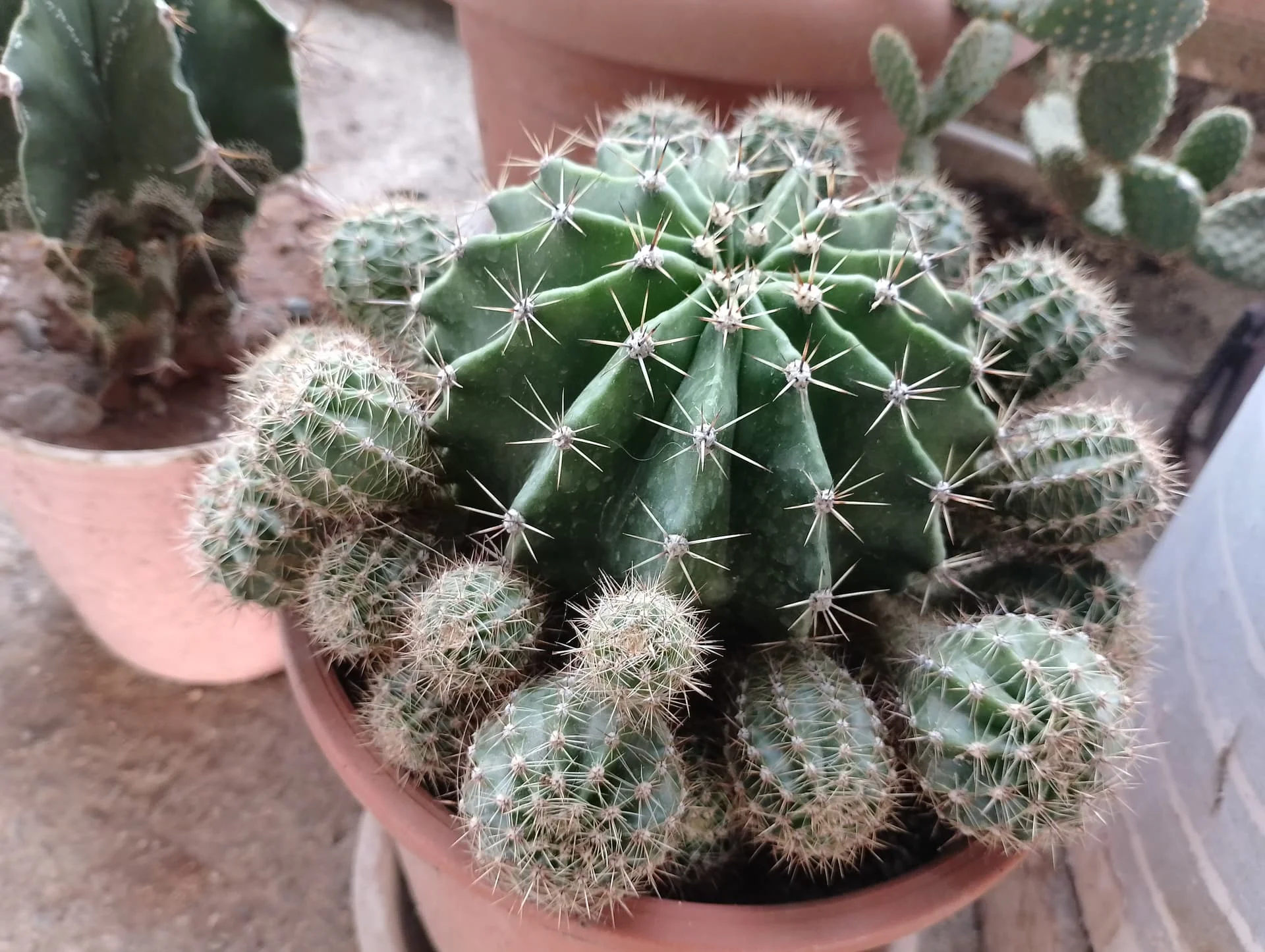 IMG_20240625_183722_HDR