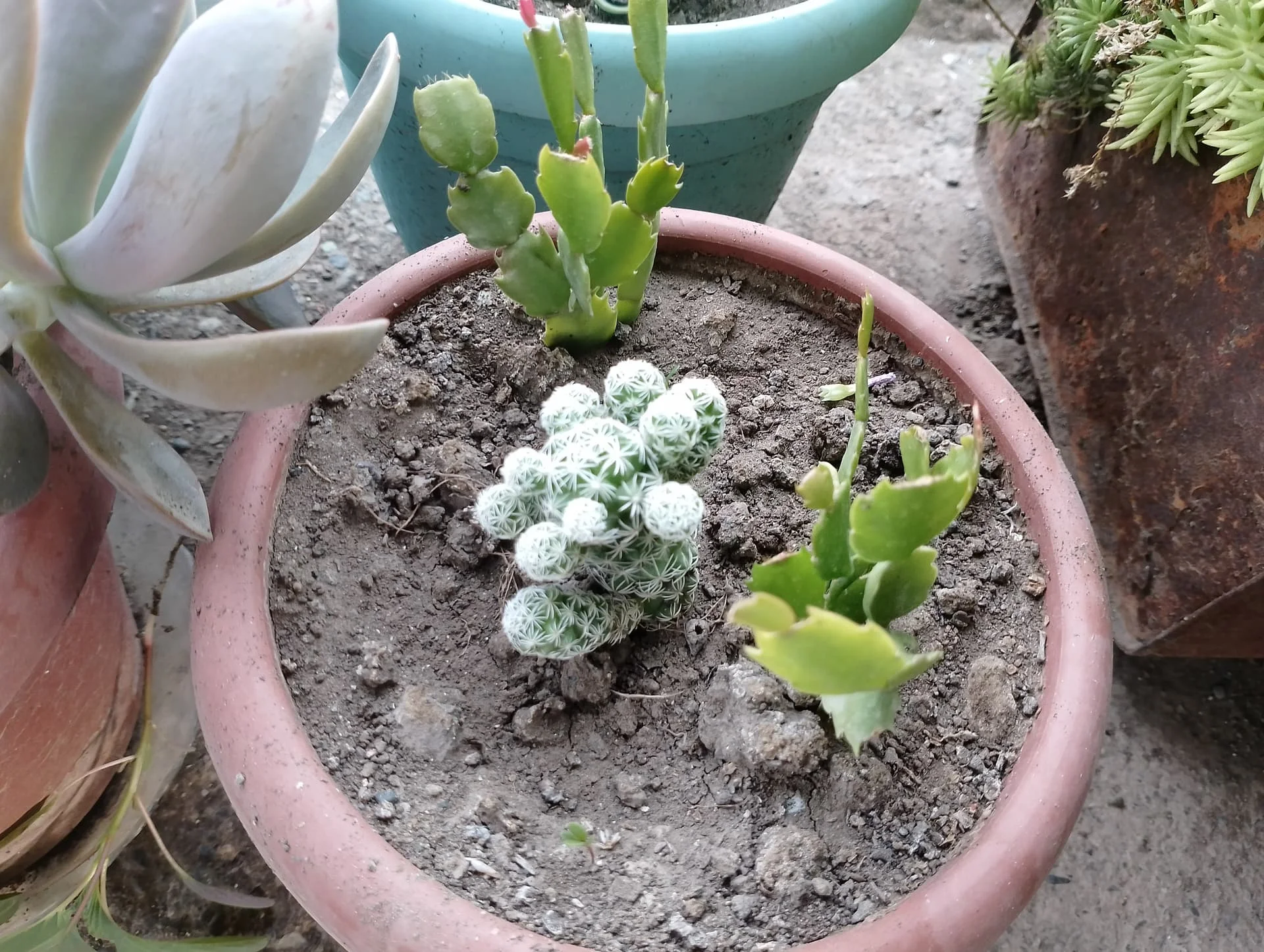 IMG_20240625_183824_HDR