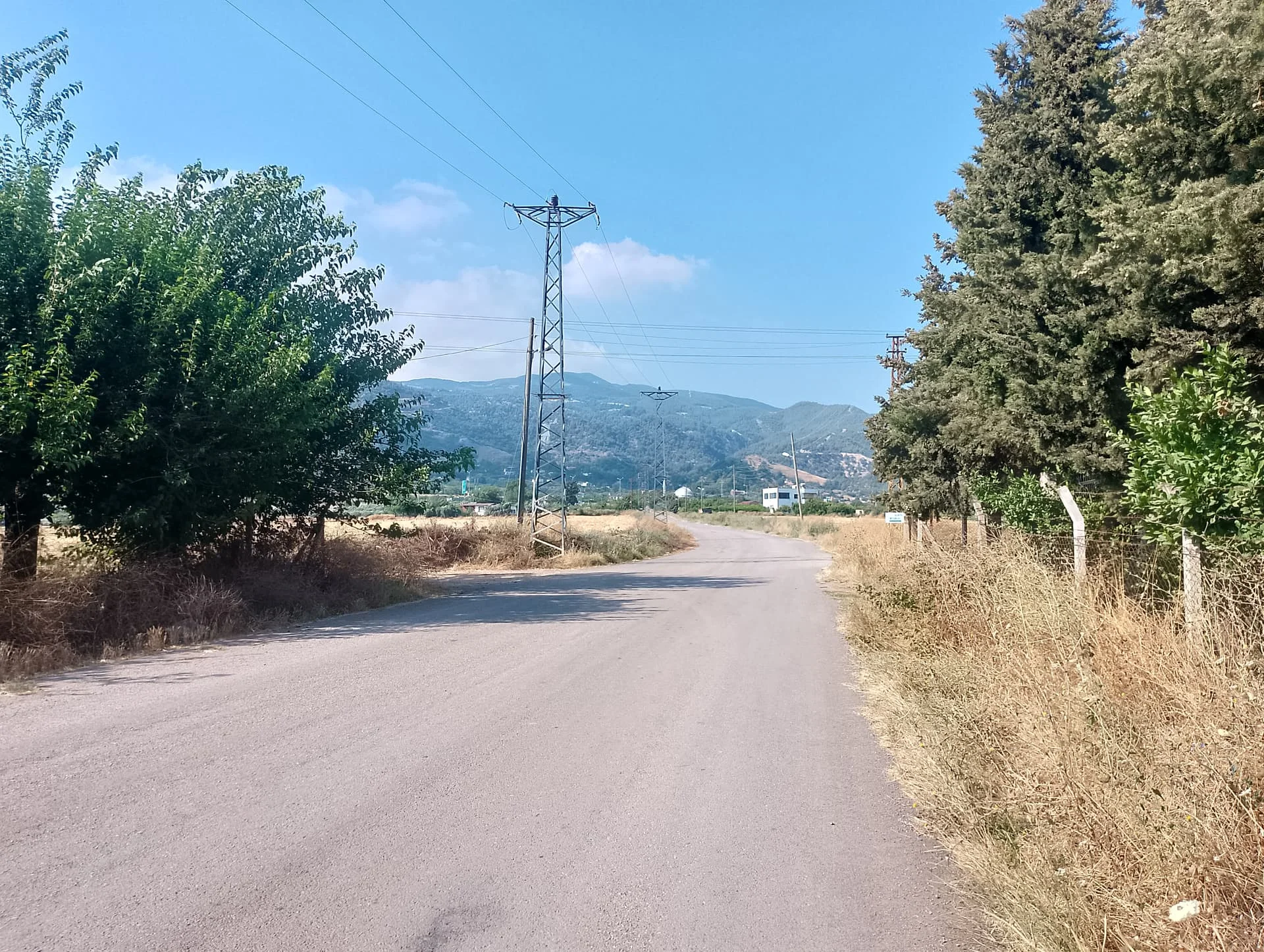 IMG_20240629_163503_HDR