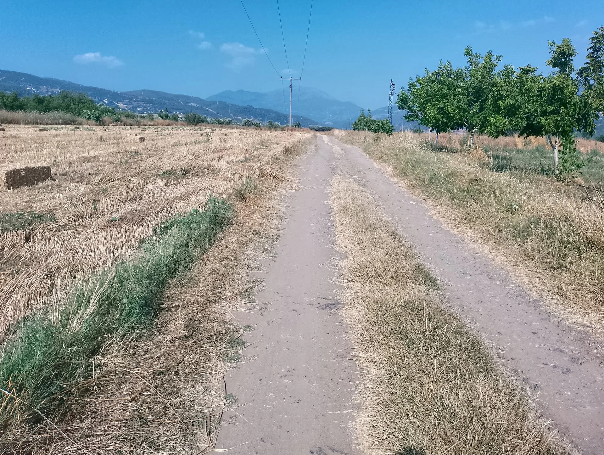 IMG_20240629_164000_HDR