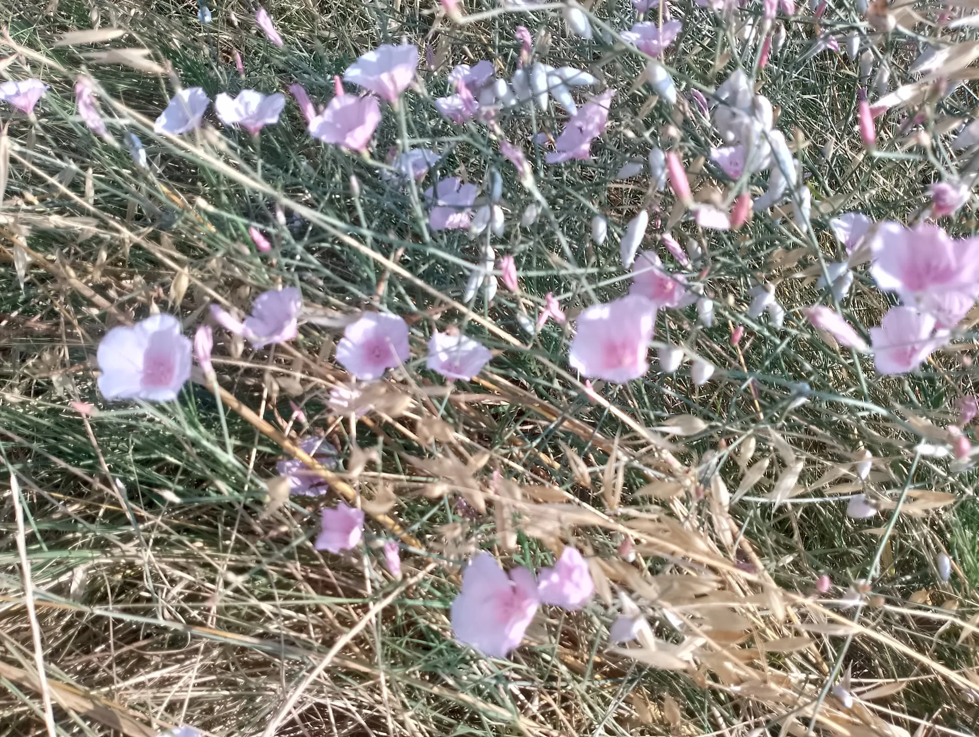 IMG_20240629_164041_HDR