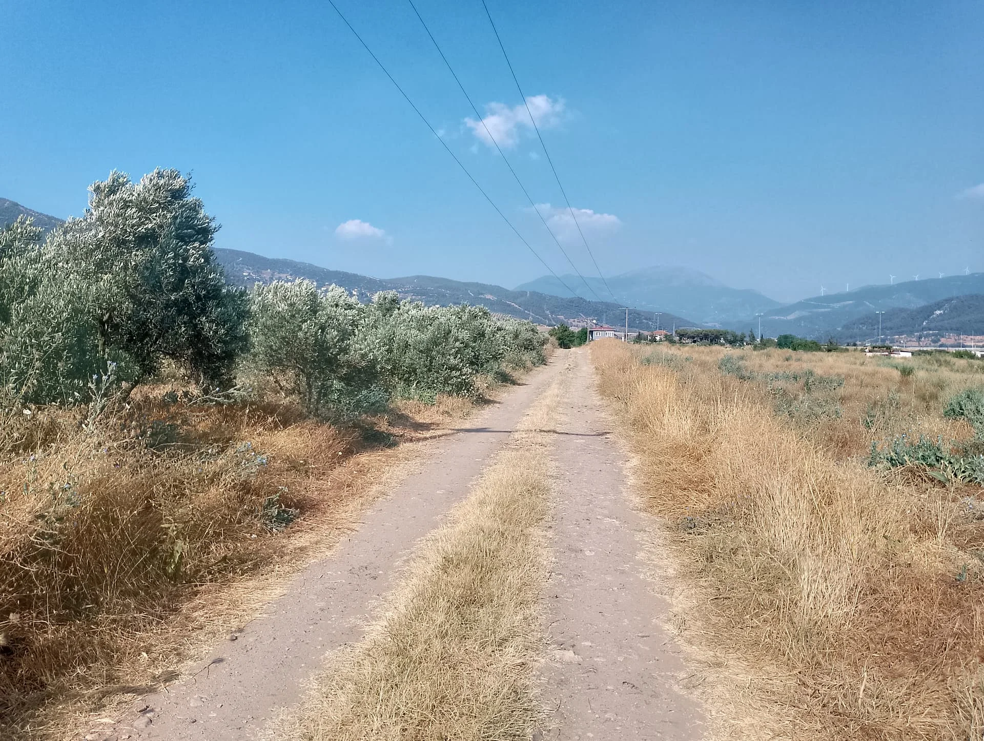 IMG_20240629_164213_HDR