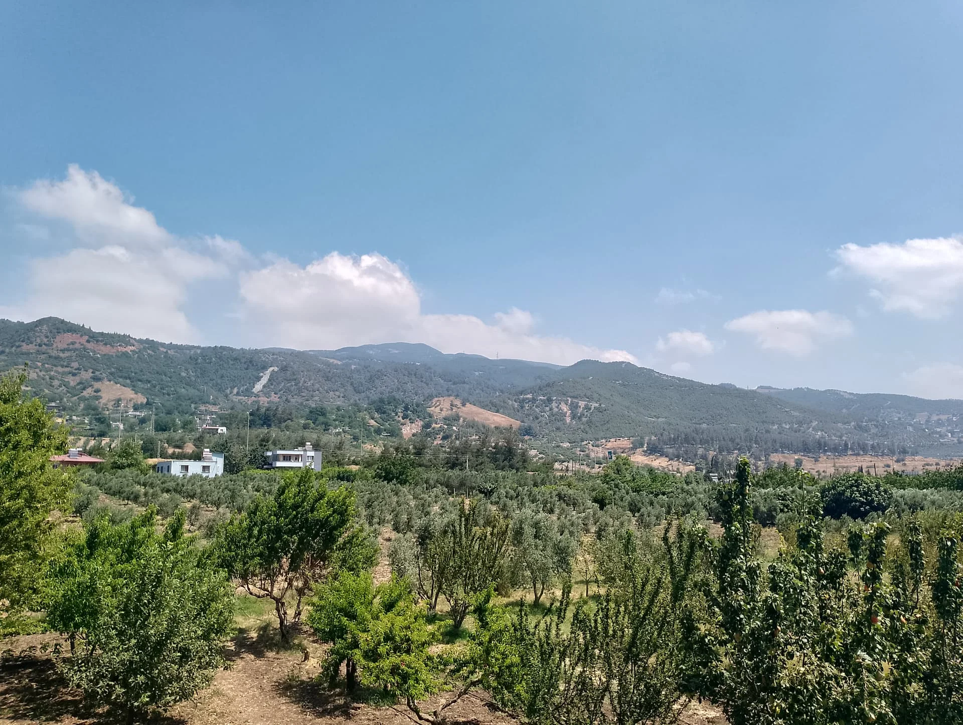 IMG_20240630_111057_HDR