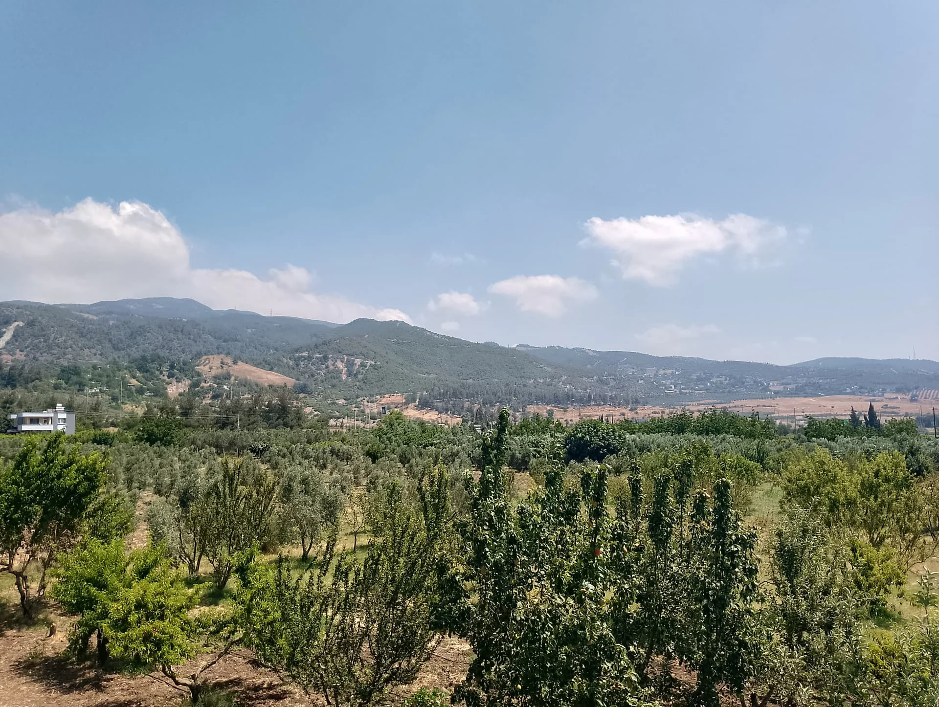 IMG_20240630_111103_HDR