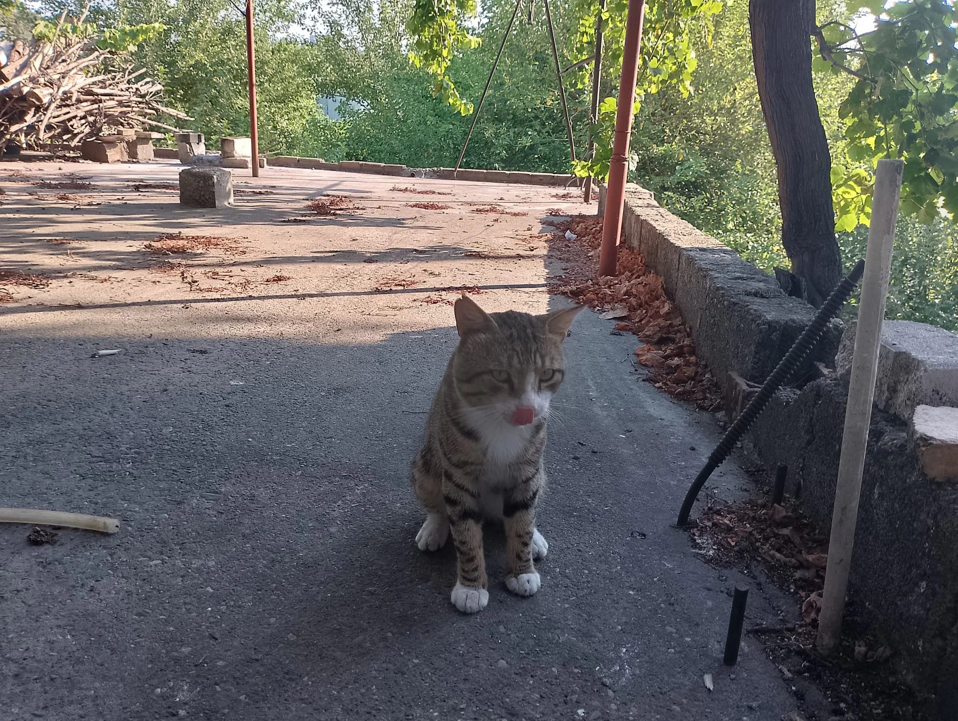 IMG_20240712_173452_HDR