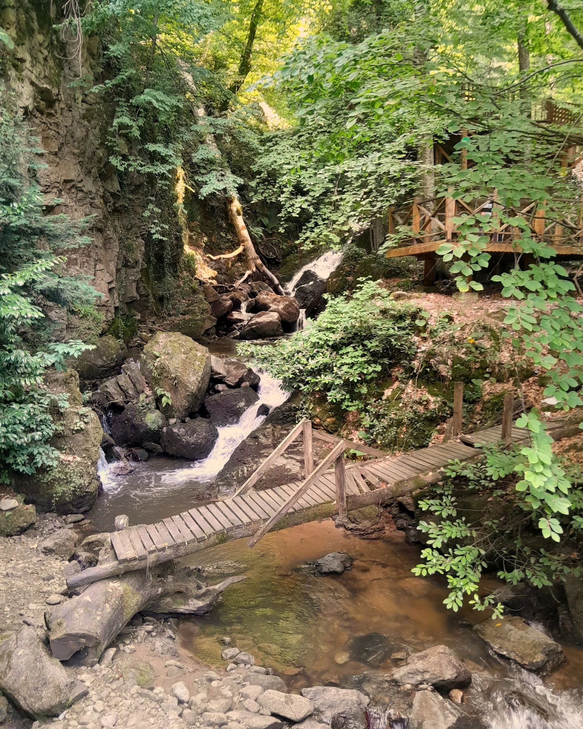 IMG_20240713_134925_803