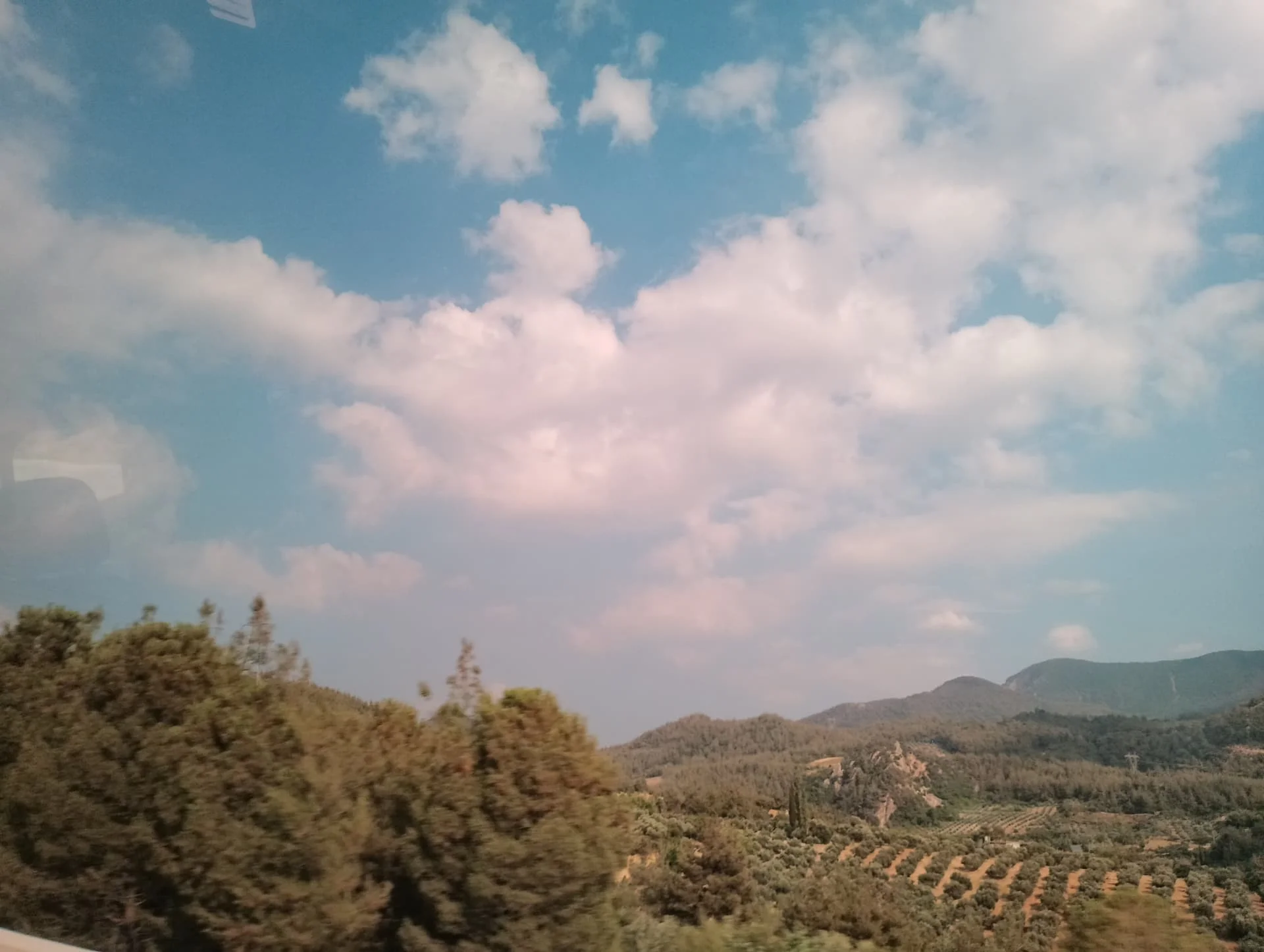 IMG_20240713_163621_HDR