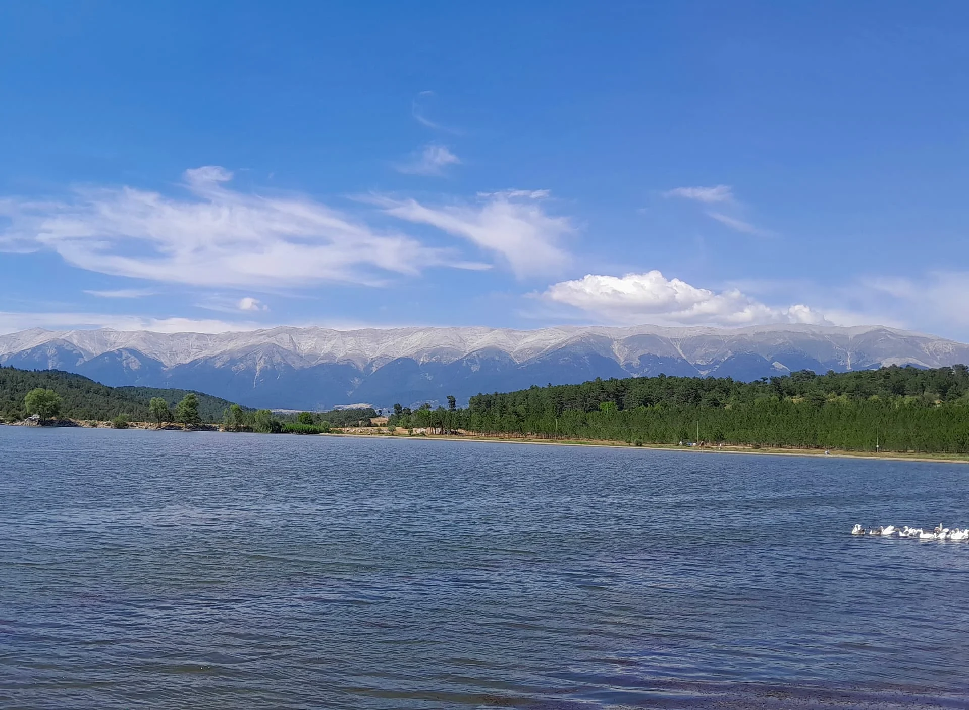 IMG_20240716_185423_879