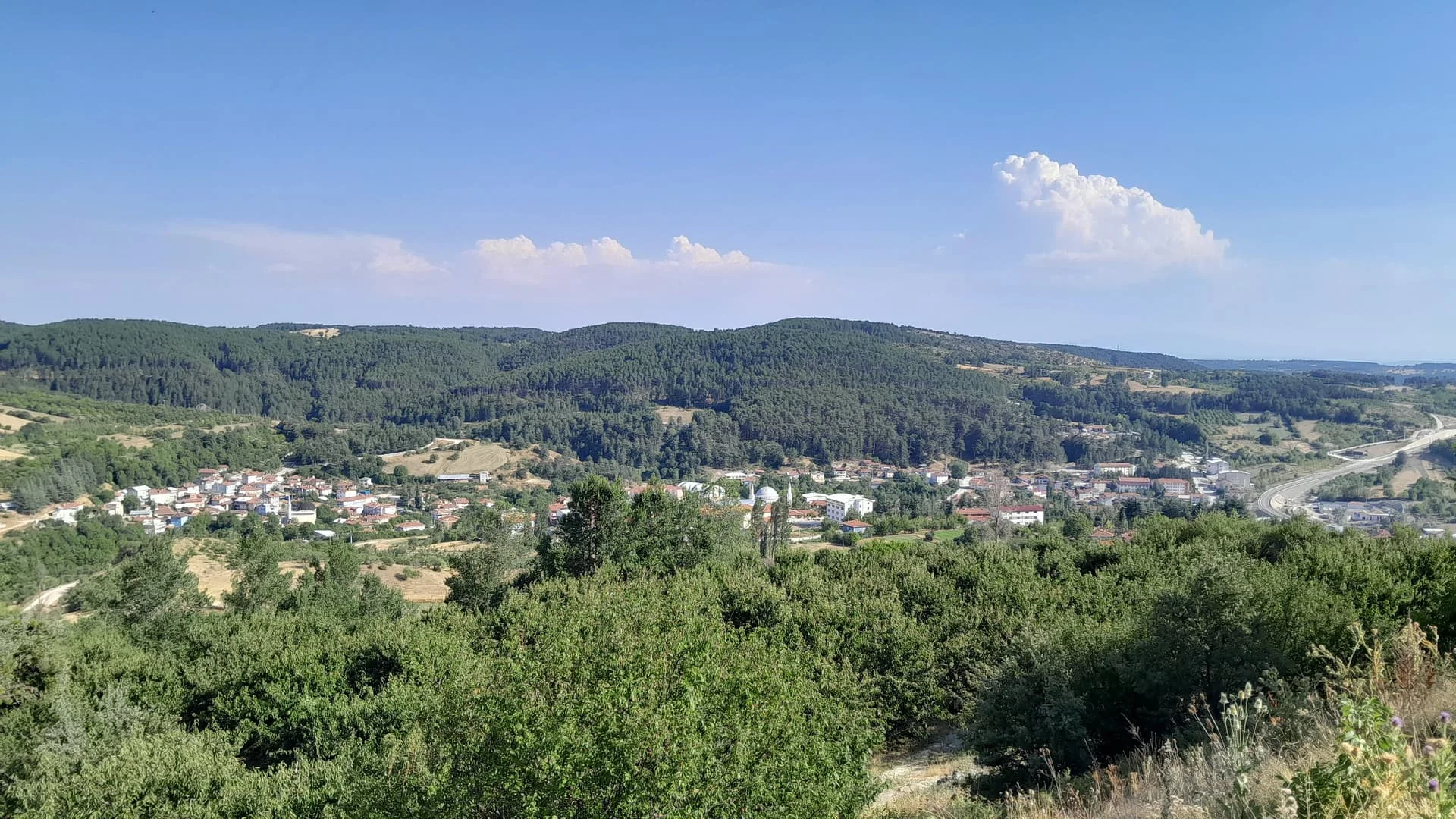 IMG_20240717_100041_228