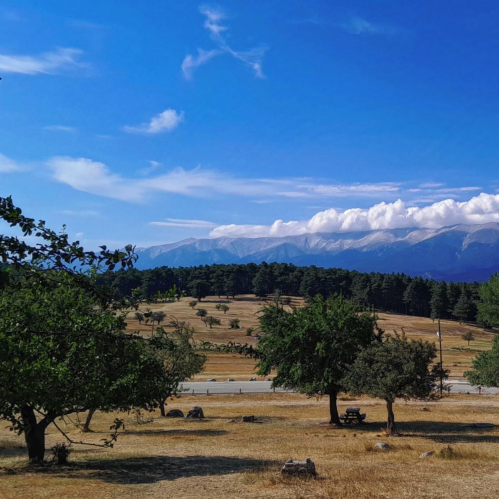 IMG_20240717_220814_030