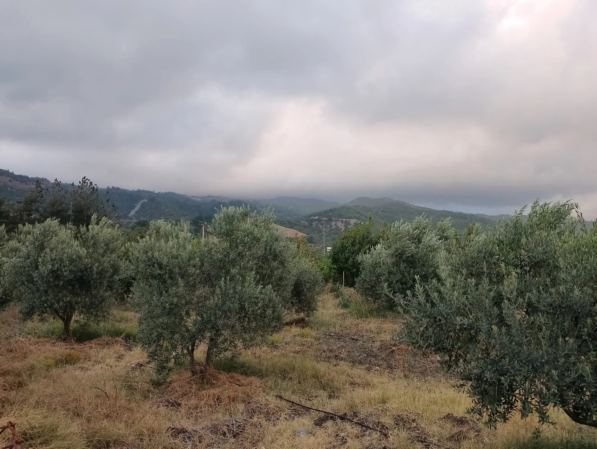 IMG_20240803_185043_HDR