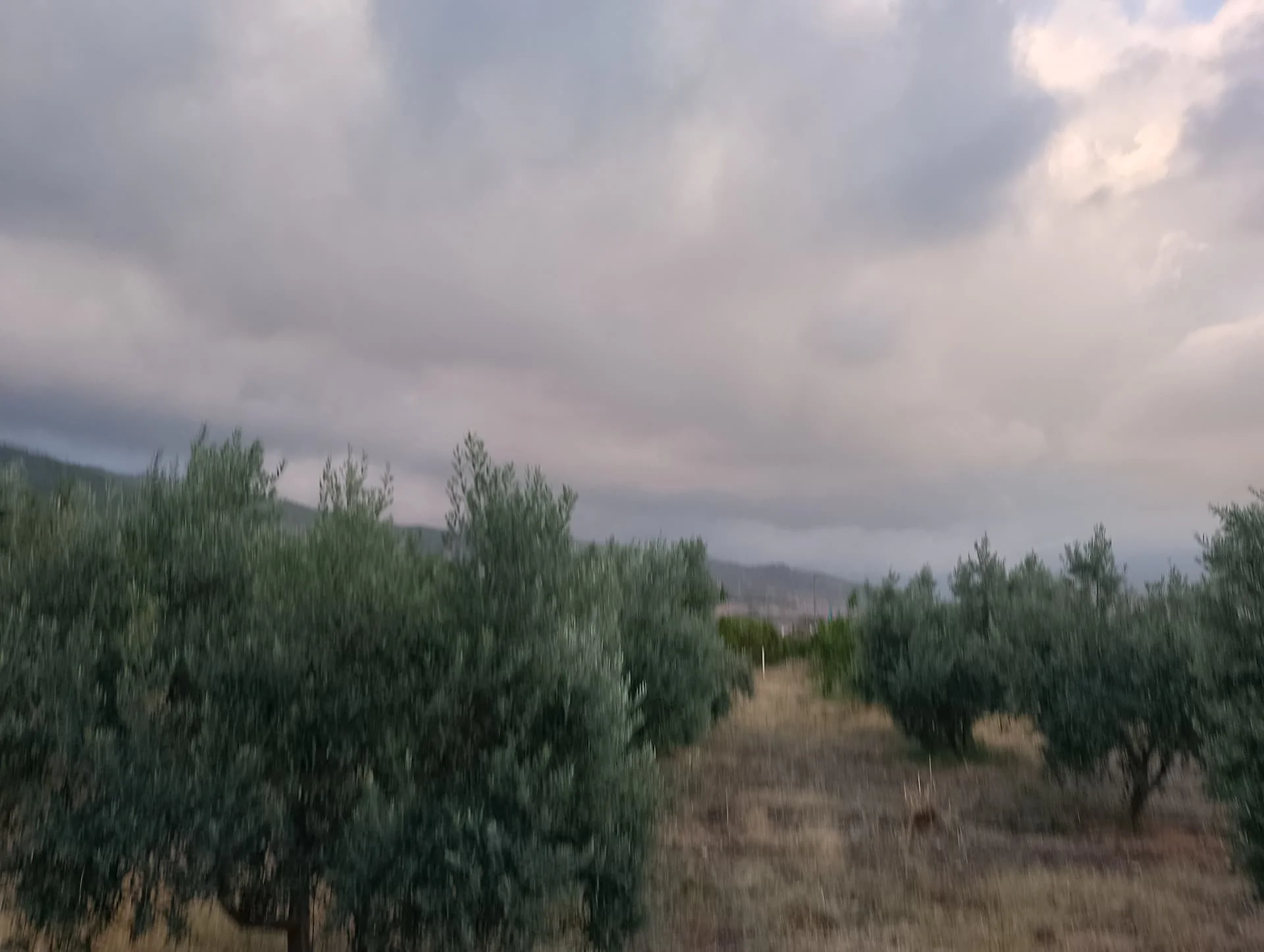 IMG_20240803_185047_HDR