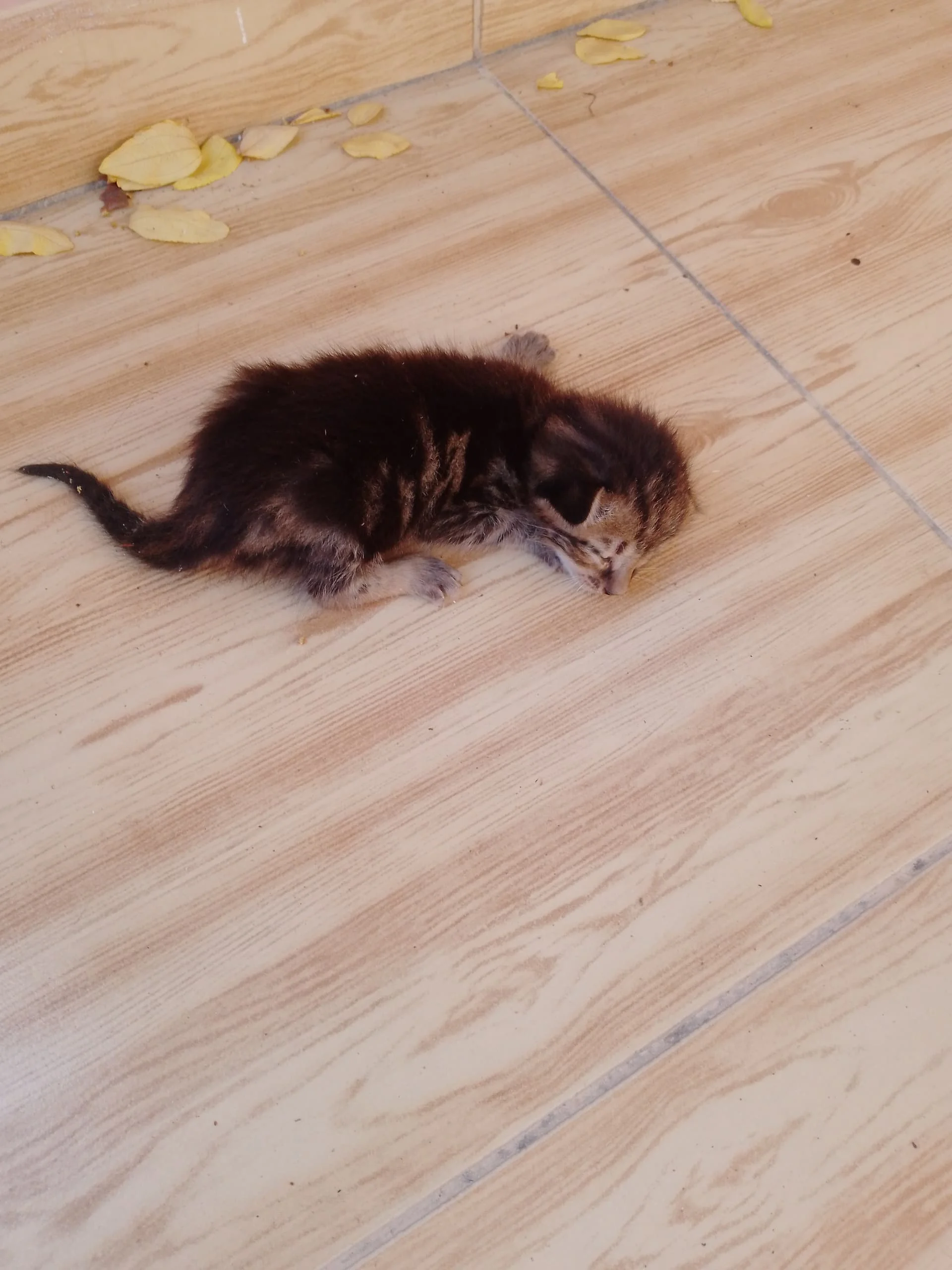 IMG_20240811_092029_461