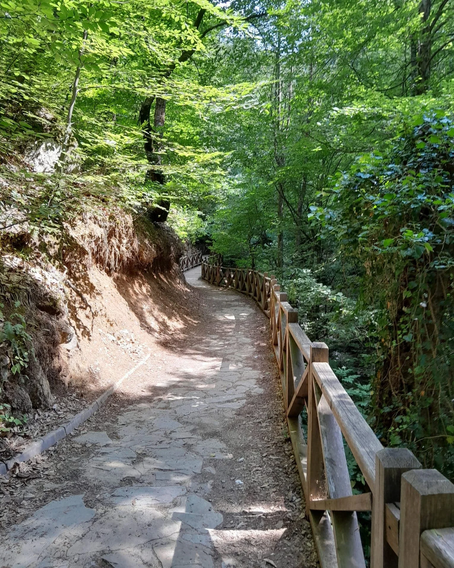 IMG_20240815_143757_970