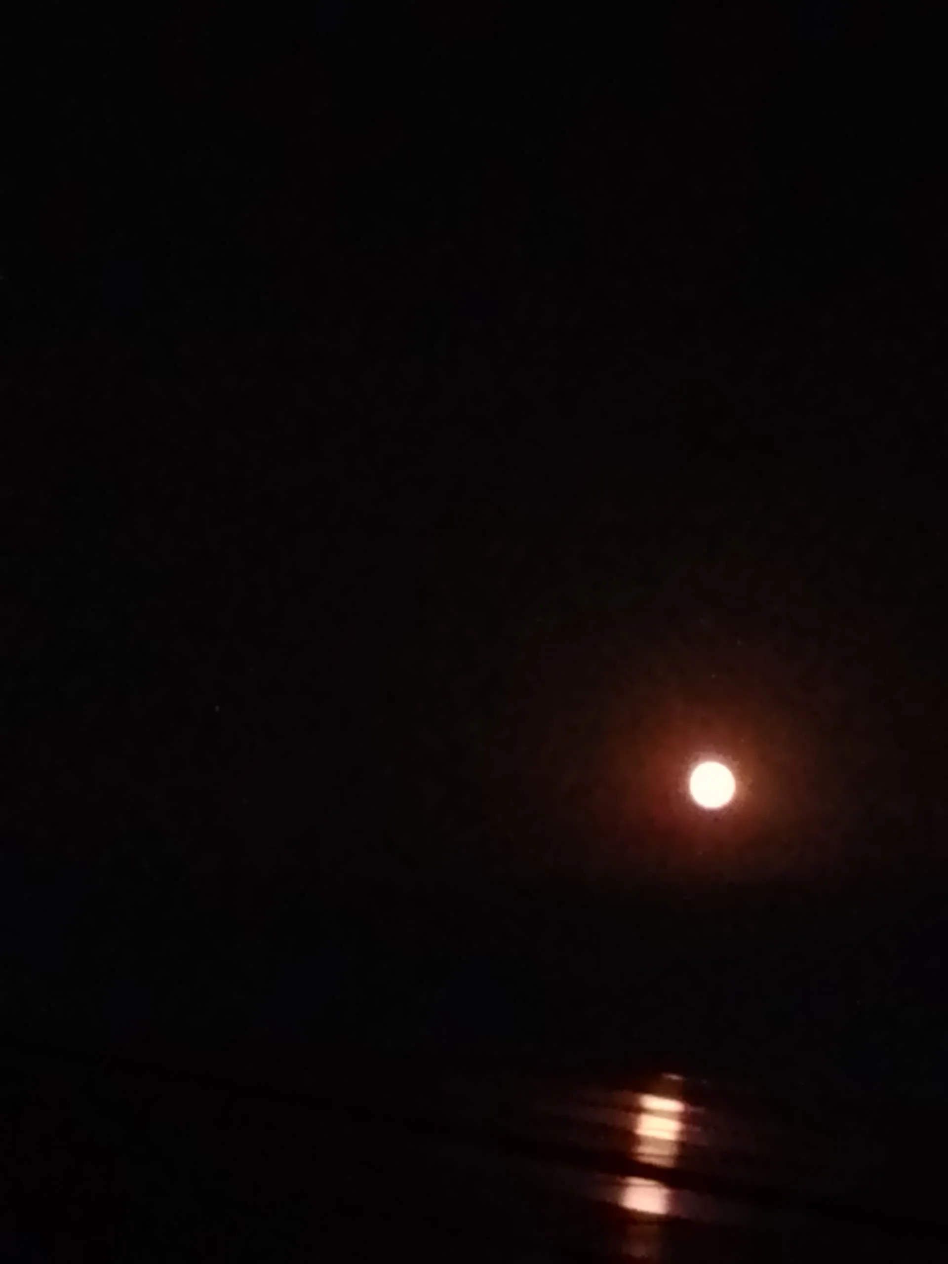 IMG_20240820_204651_012