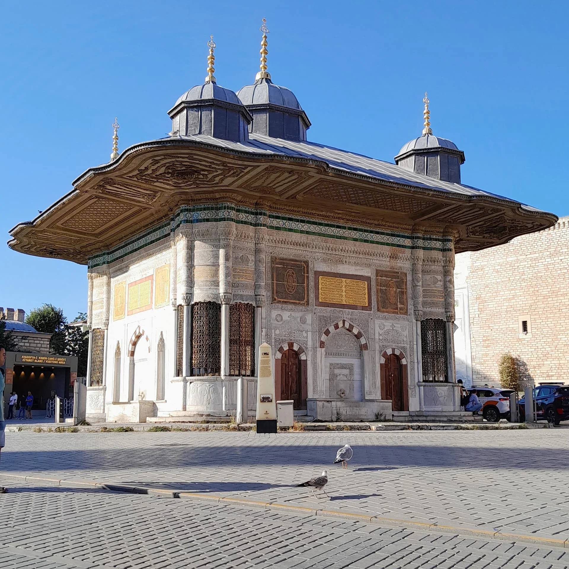 IMG_20240821_060407_466