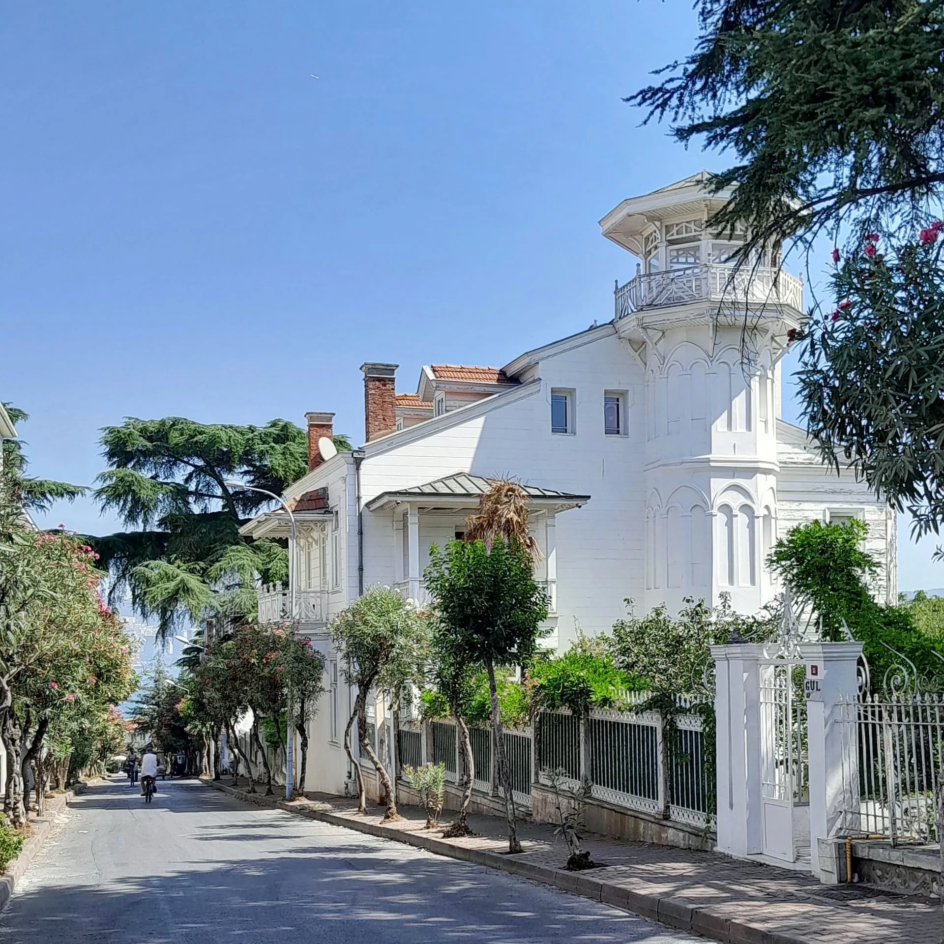 IMG_20240822_203539_565