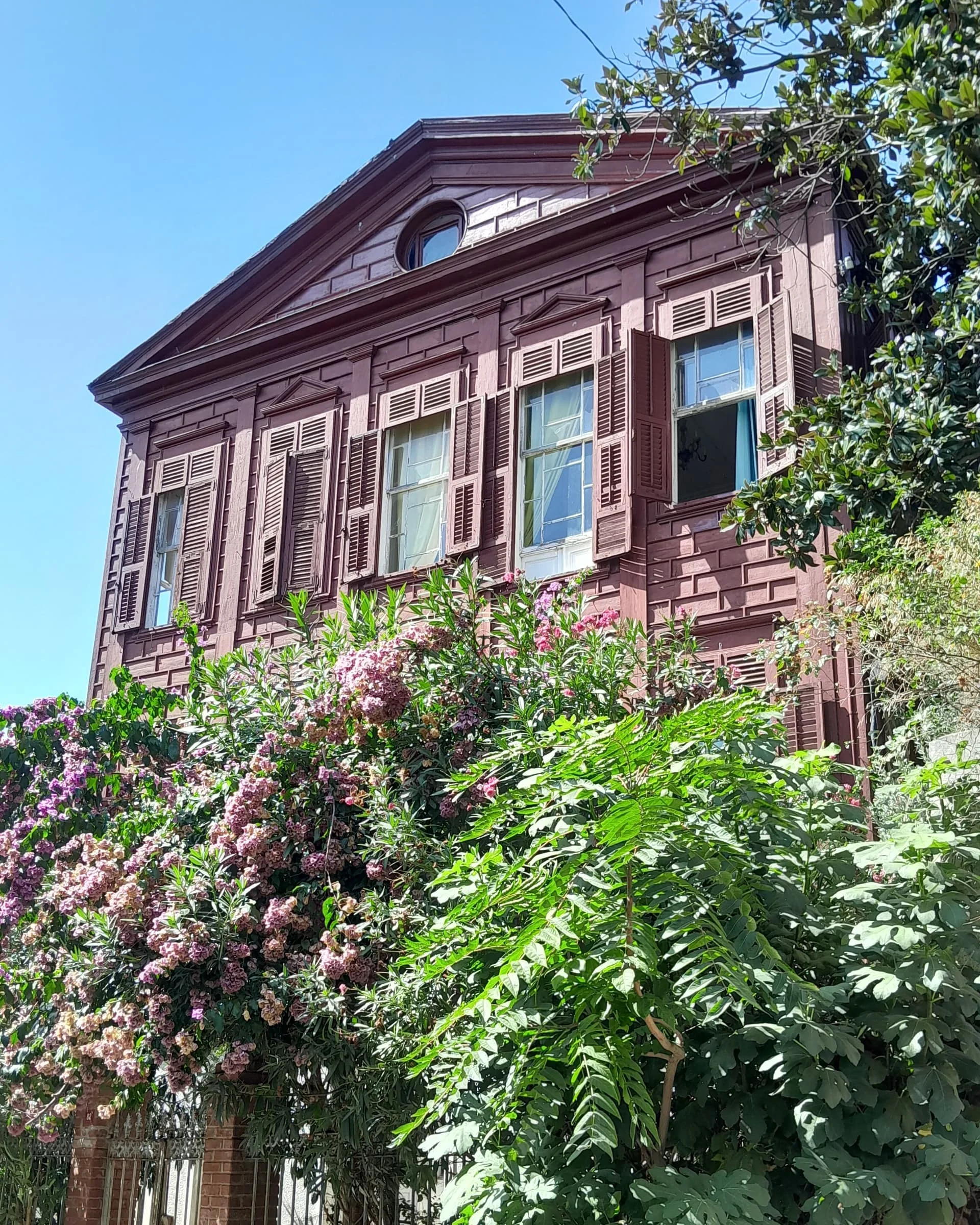 IMG_20240823_064754_688