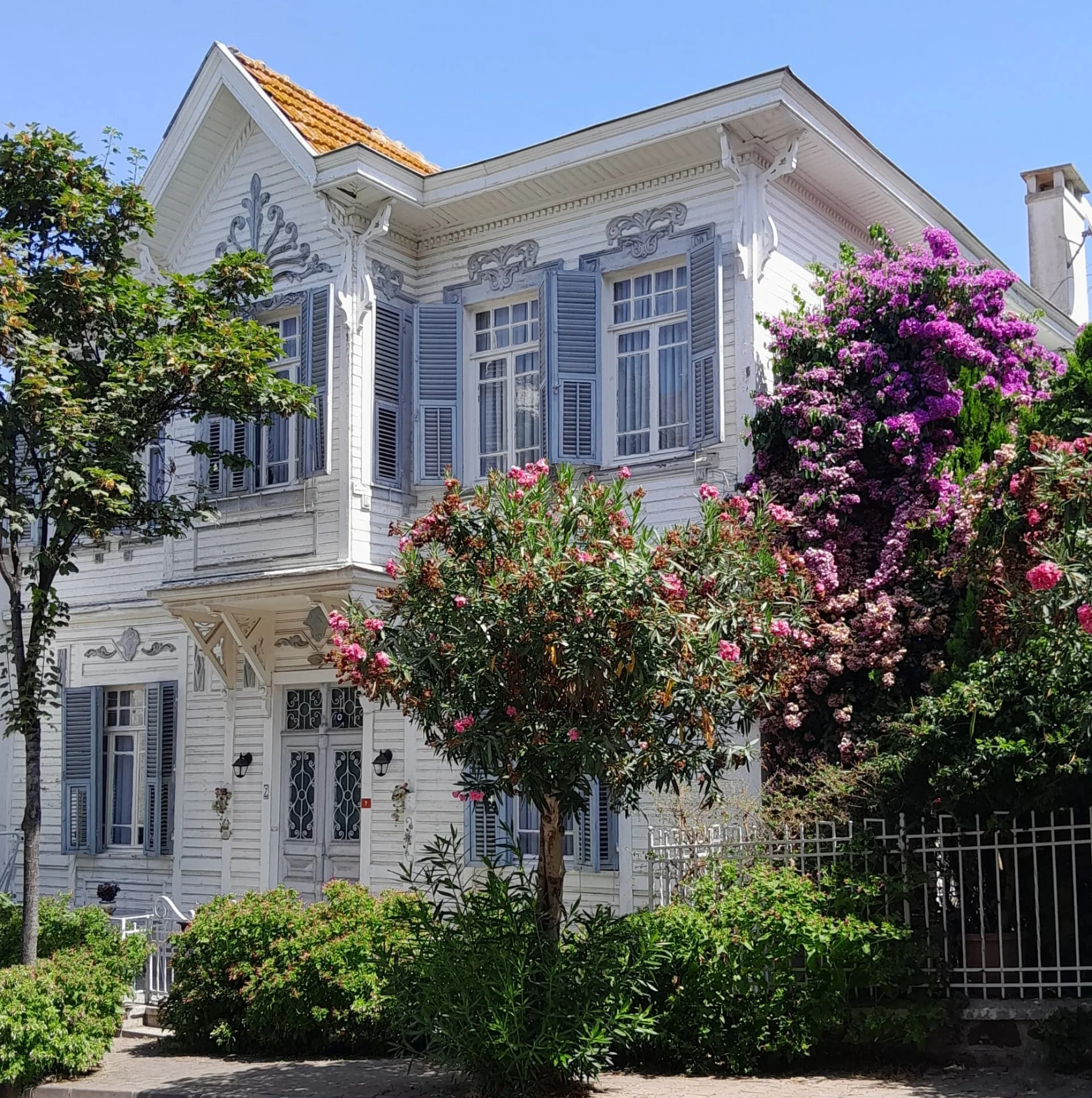 IMG_20240823_094504_318