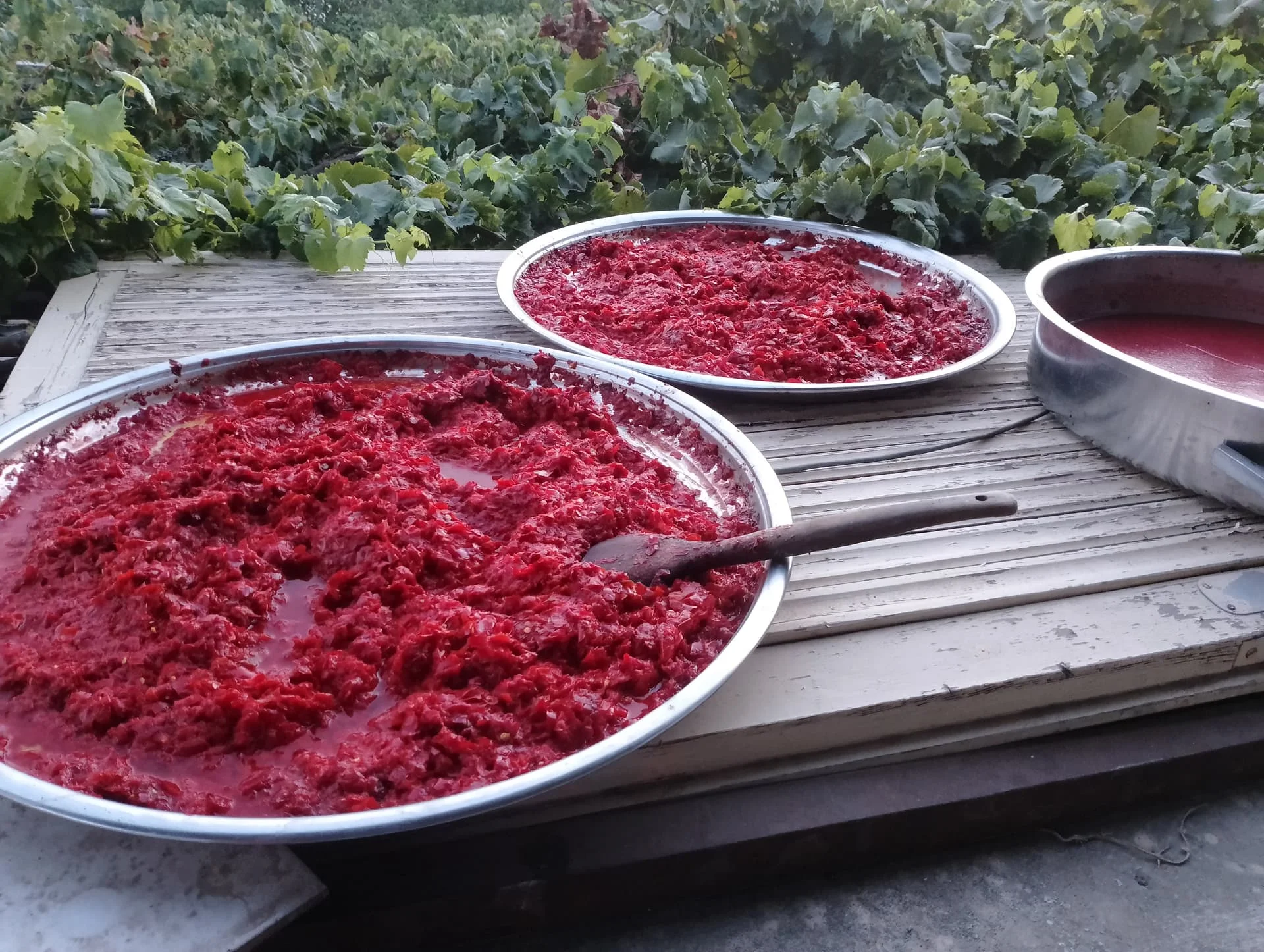 IMG_20240823_192349_HDR