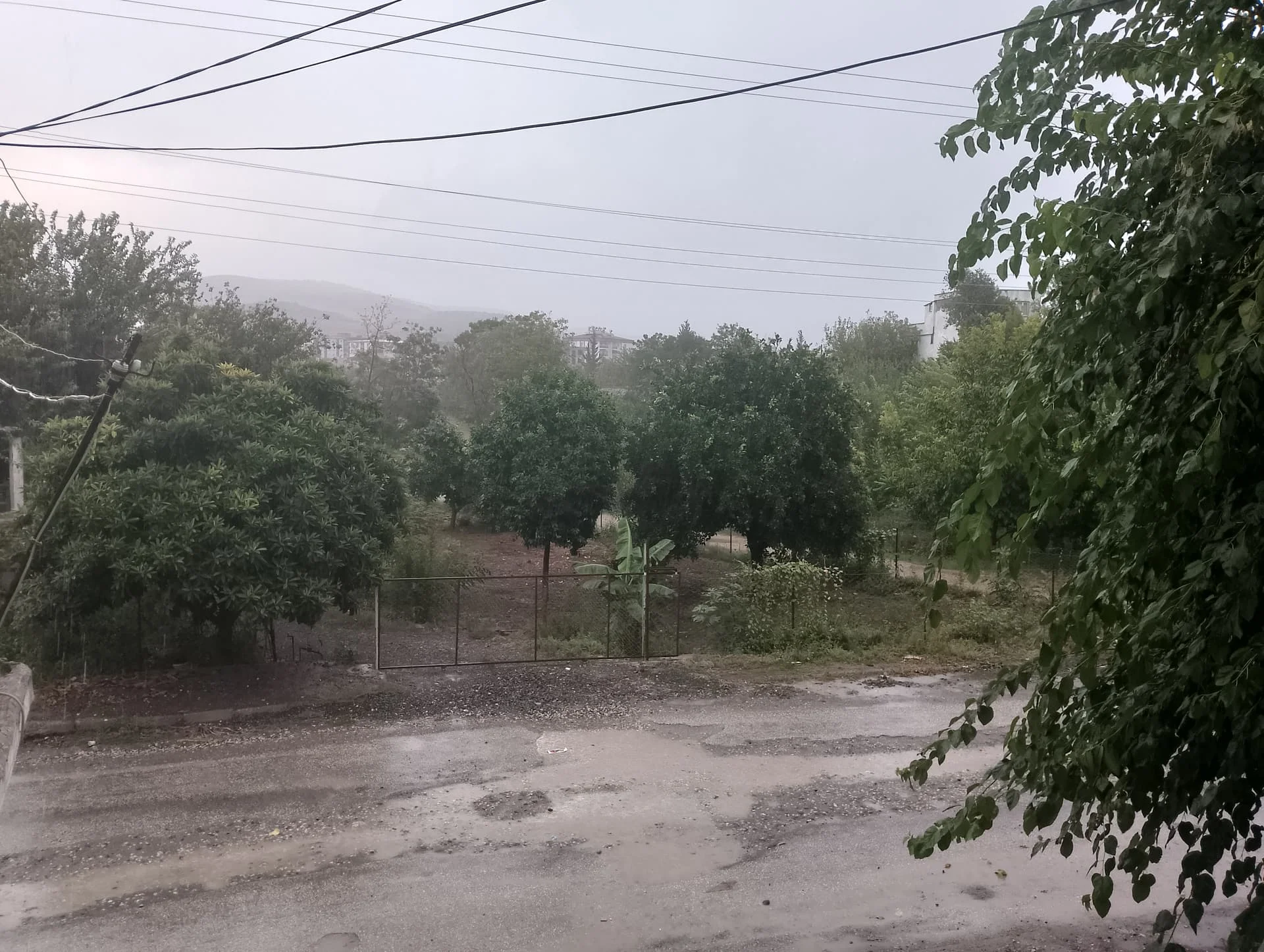 IMG_20240824_174407_HDR