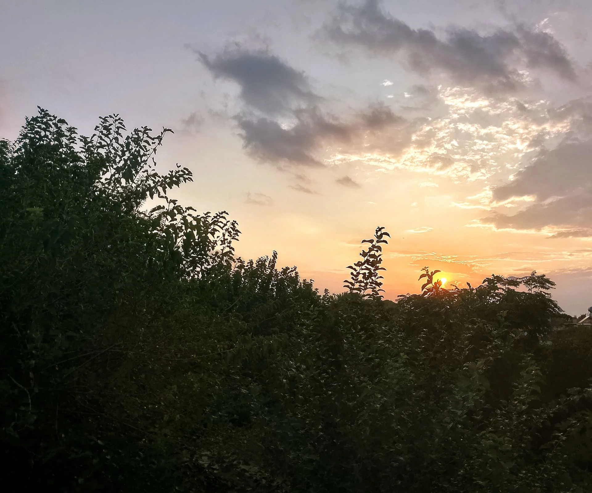 IMG_20240830_184404_HDR~2