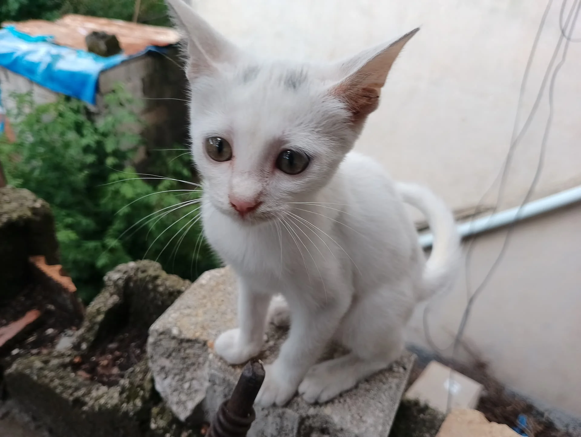 IMG_20240901_115802_HDR