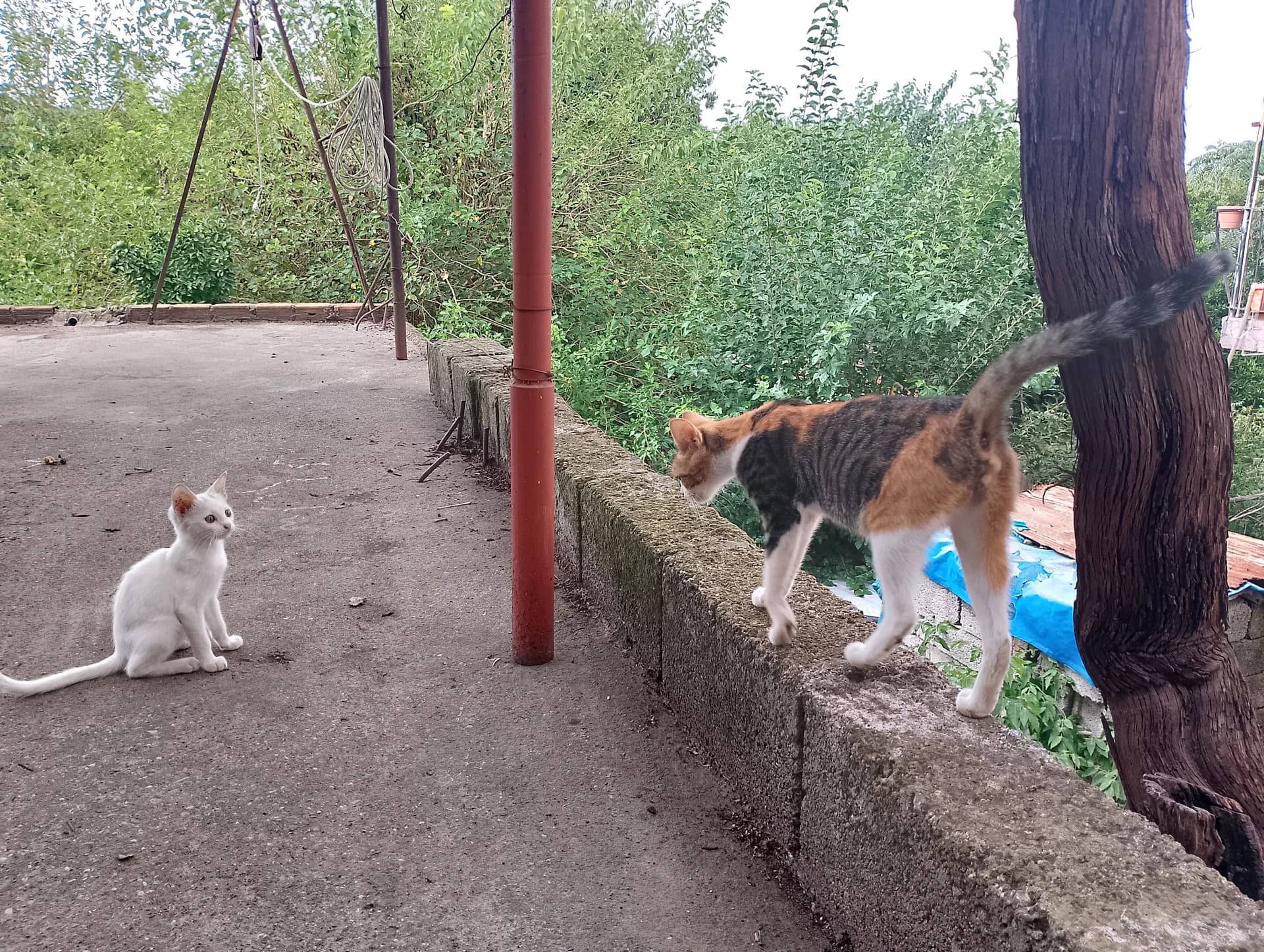 IMG_20240901_115811_HDR